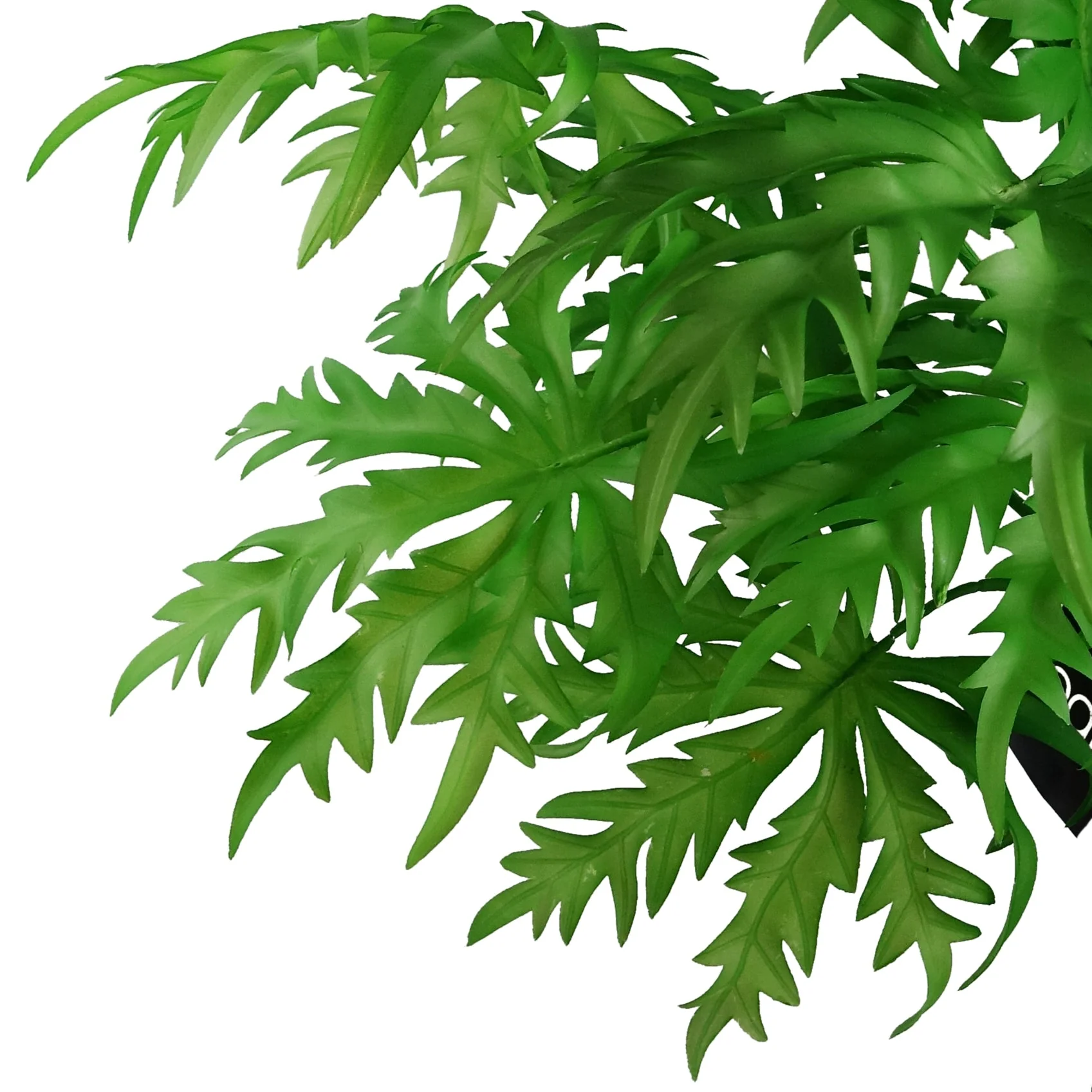 85cm Artificial Foliage Leaf Stem - Image 4