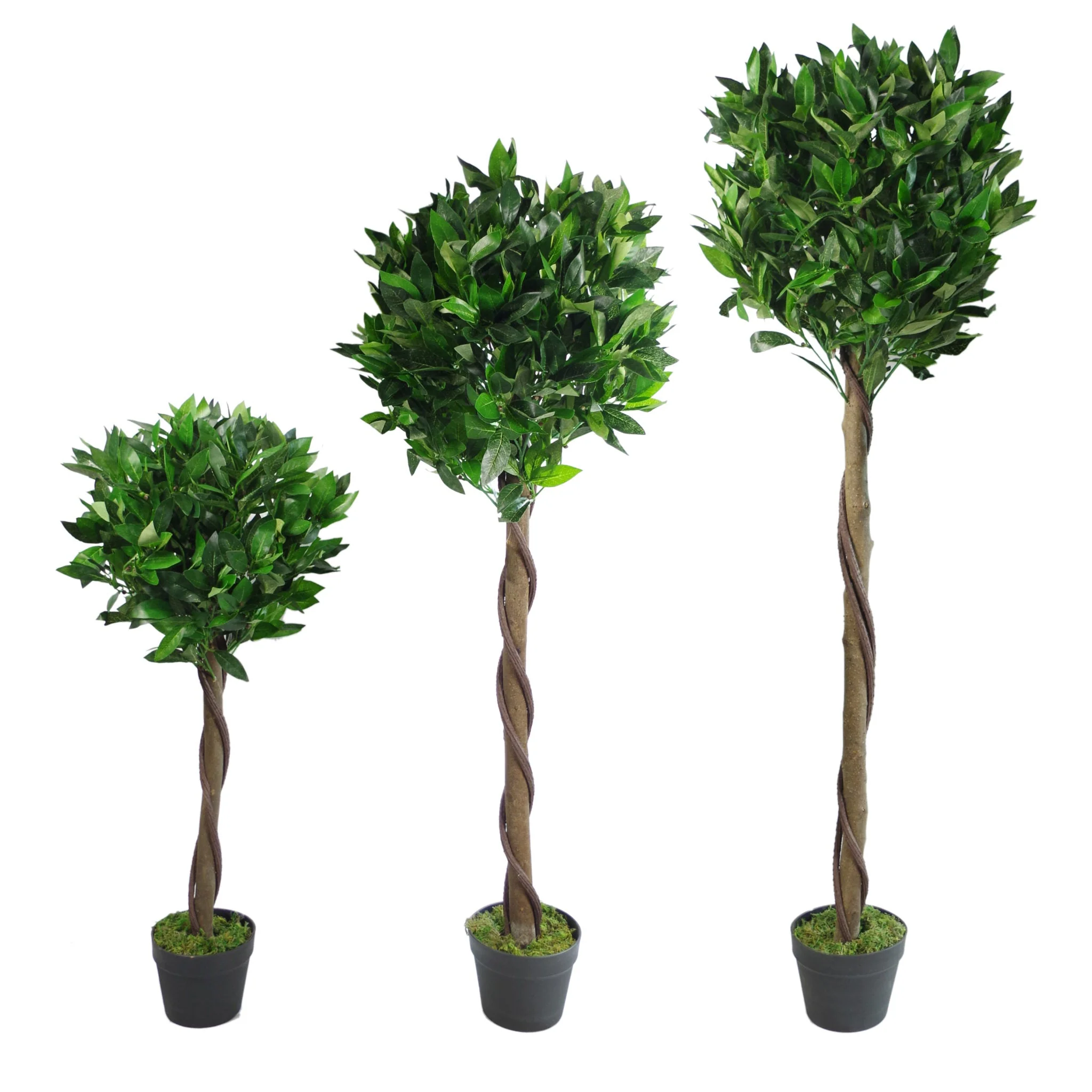 90cm (3ft) Twist Natural Trunk Artificial Topiary Bay Laurel Ball Tree - Image 2