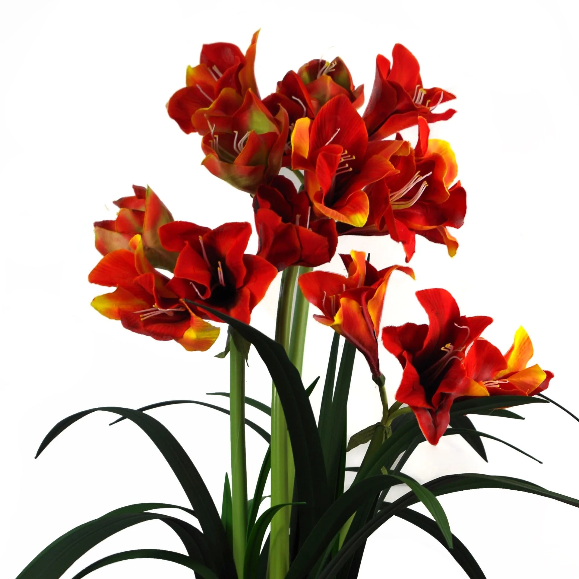 90cm Artificial Amarylis Orange - Image 2