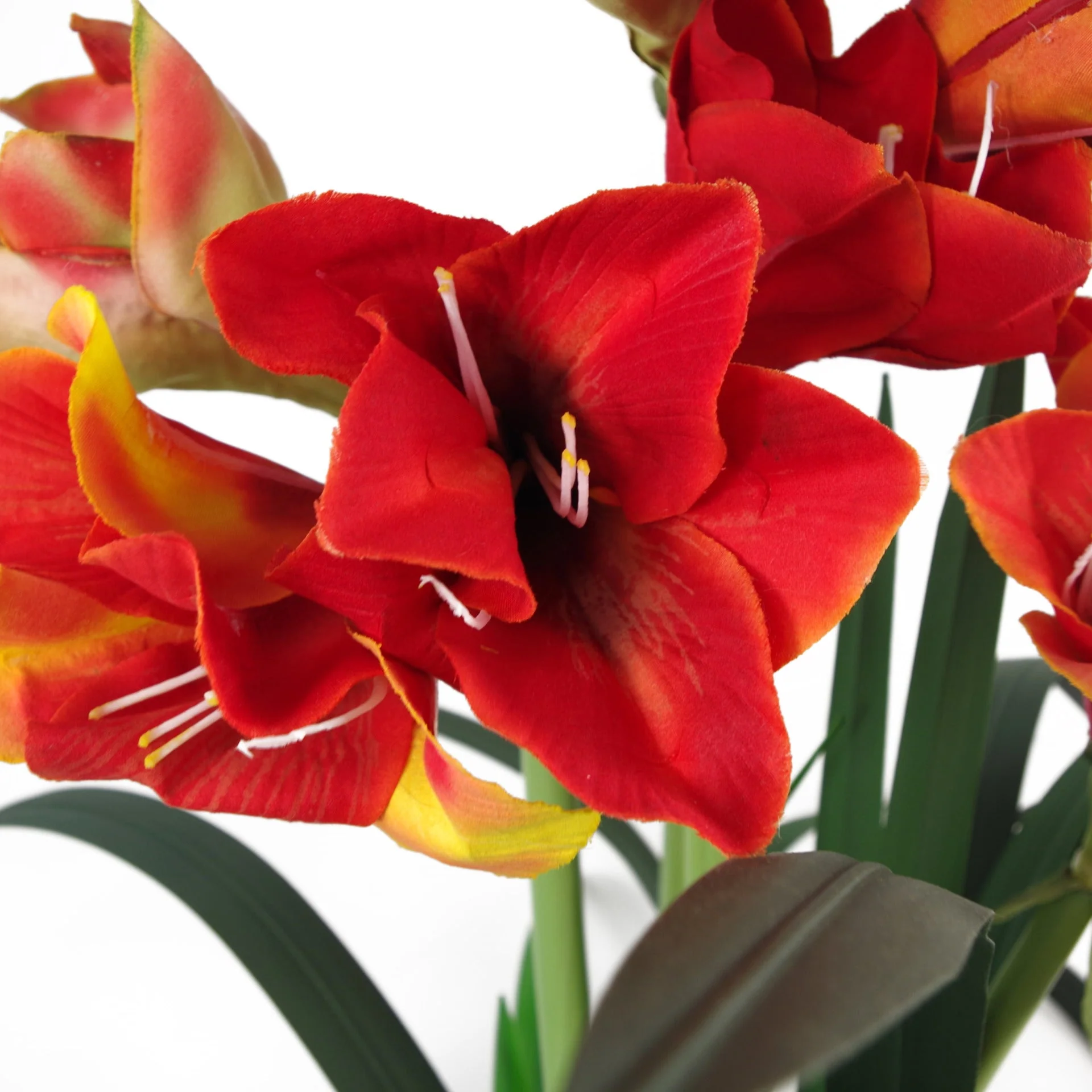 90cm Artificial Amarylis Orange - Image 4