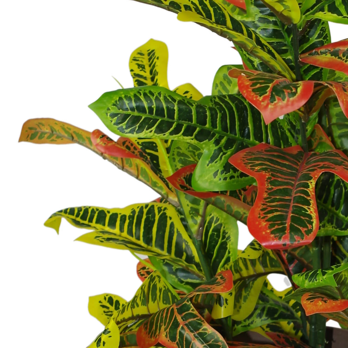 90cm Artificial Codiaeum Multicoloured House Plant - Large - Image 4