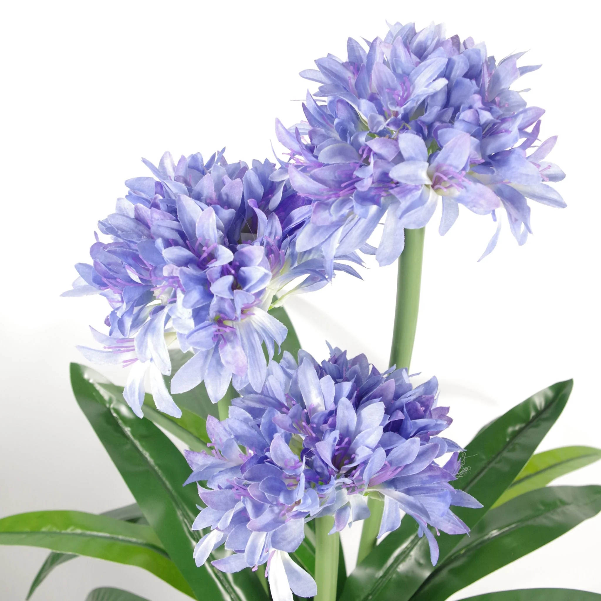 90cm Premium Artificial Agapanthus with pot BLUE - Image 2