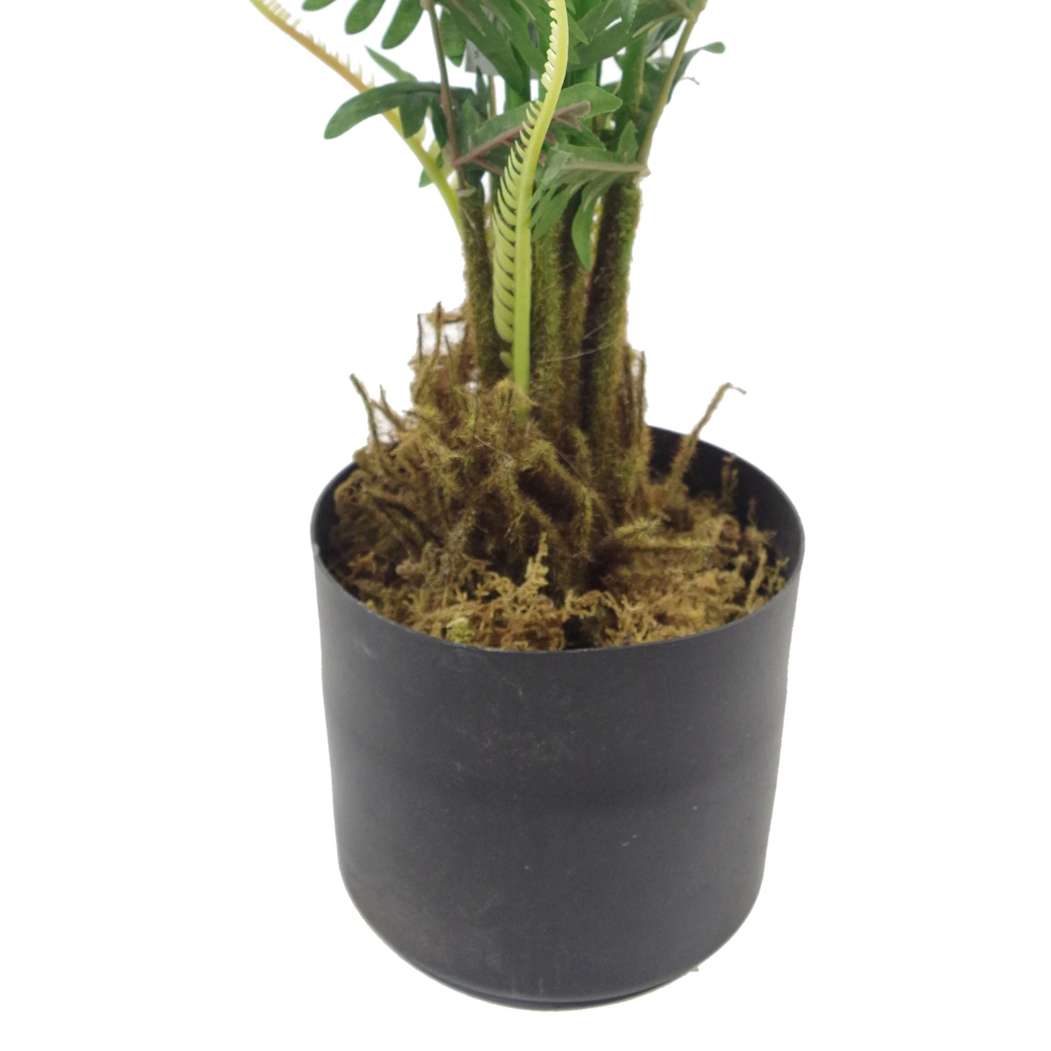 90cm Premium Artificial Fern with pot - Image 2