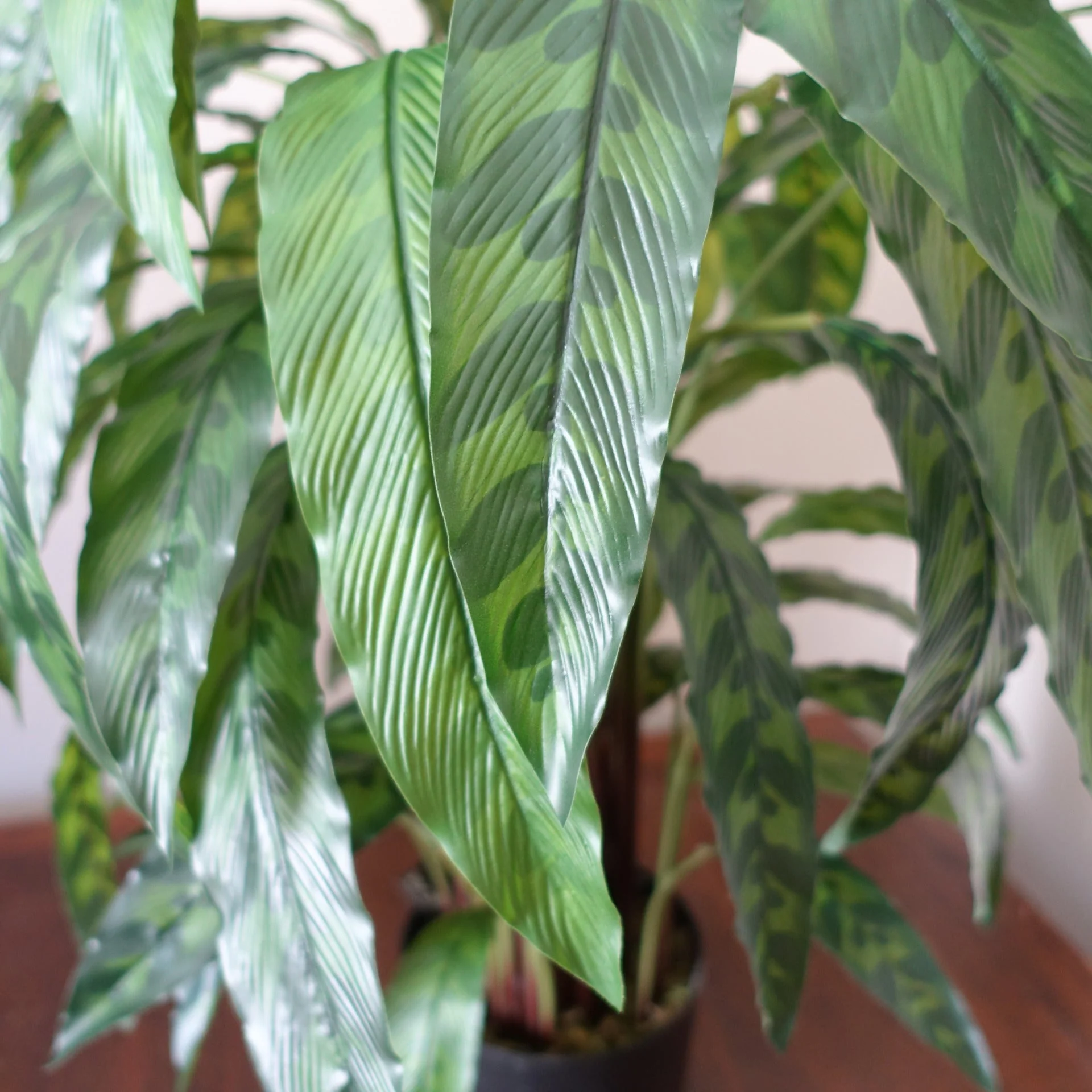 90cm Variegated Artificial Calathea Plant - Image 3