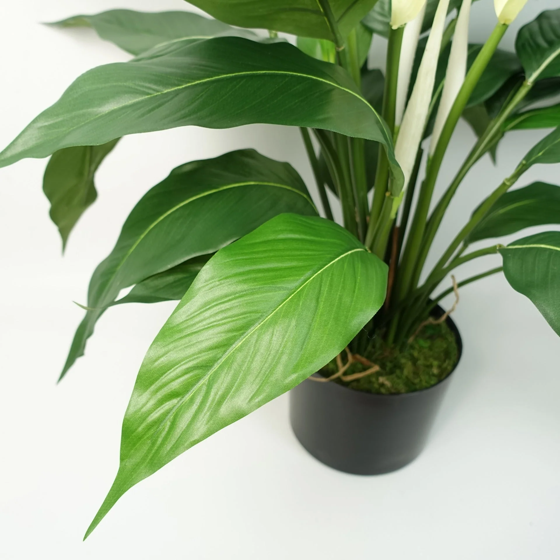 Artificial Peace Lily White Spathiphyllum - Image 4