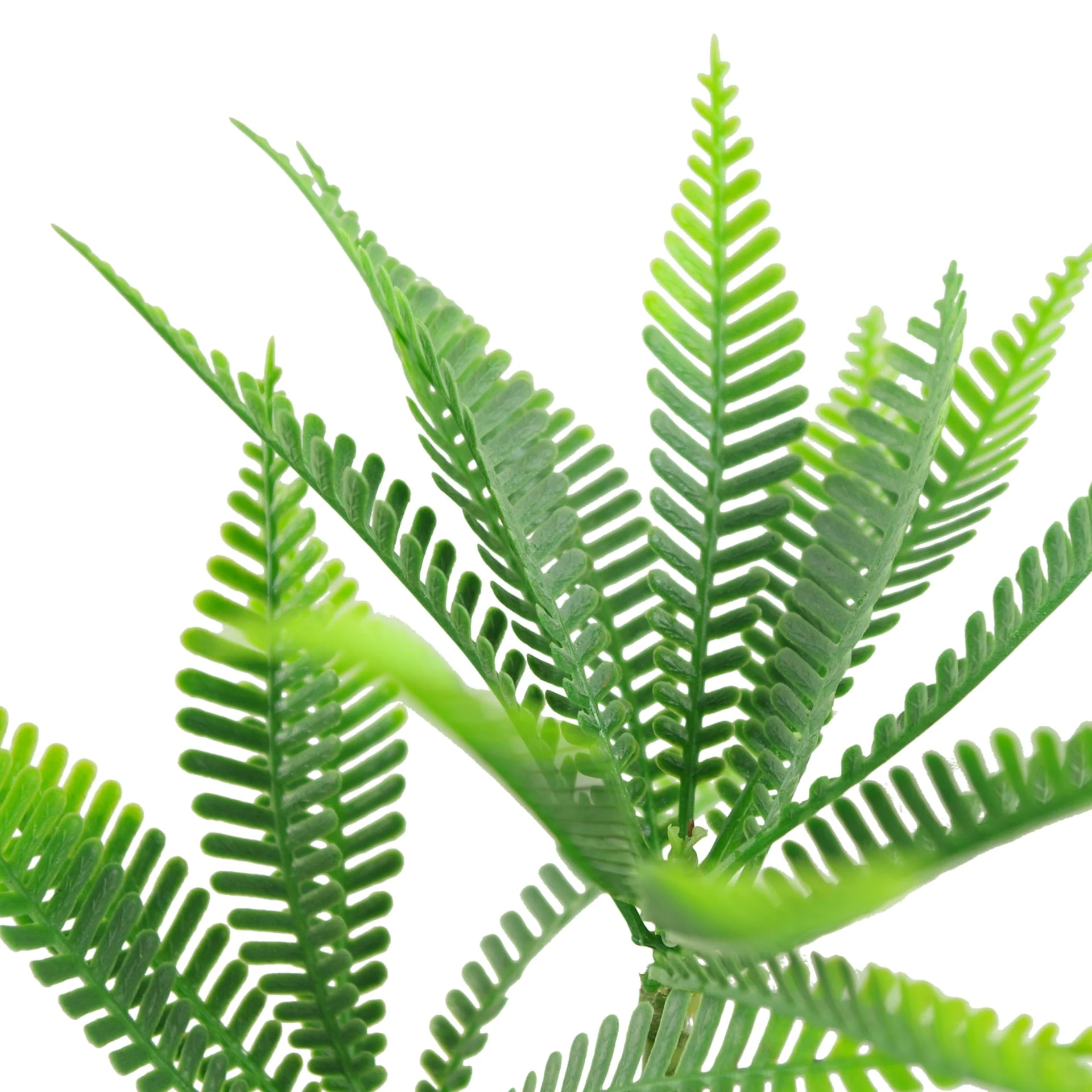 CLEARANCE 22cm Micro Palm Desktop Plant - Image 3
