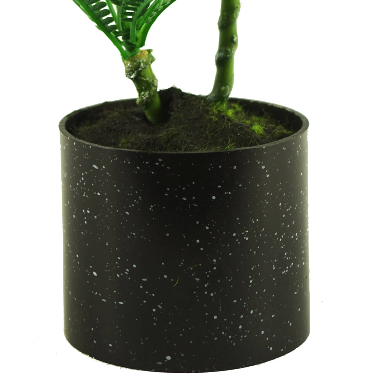 CLEARANCE 22cm Micro Palm Desktop Plant - Image 4