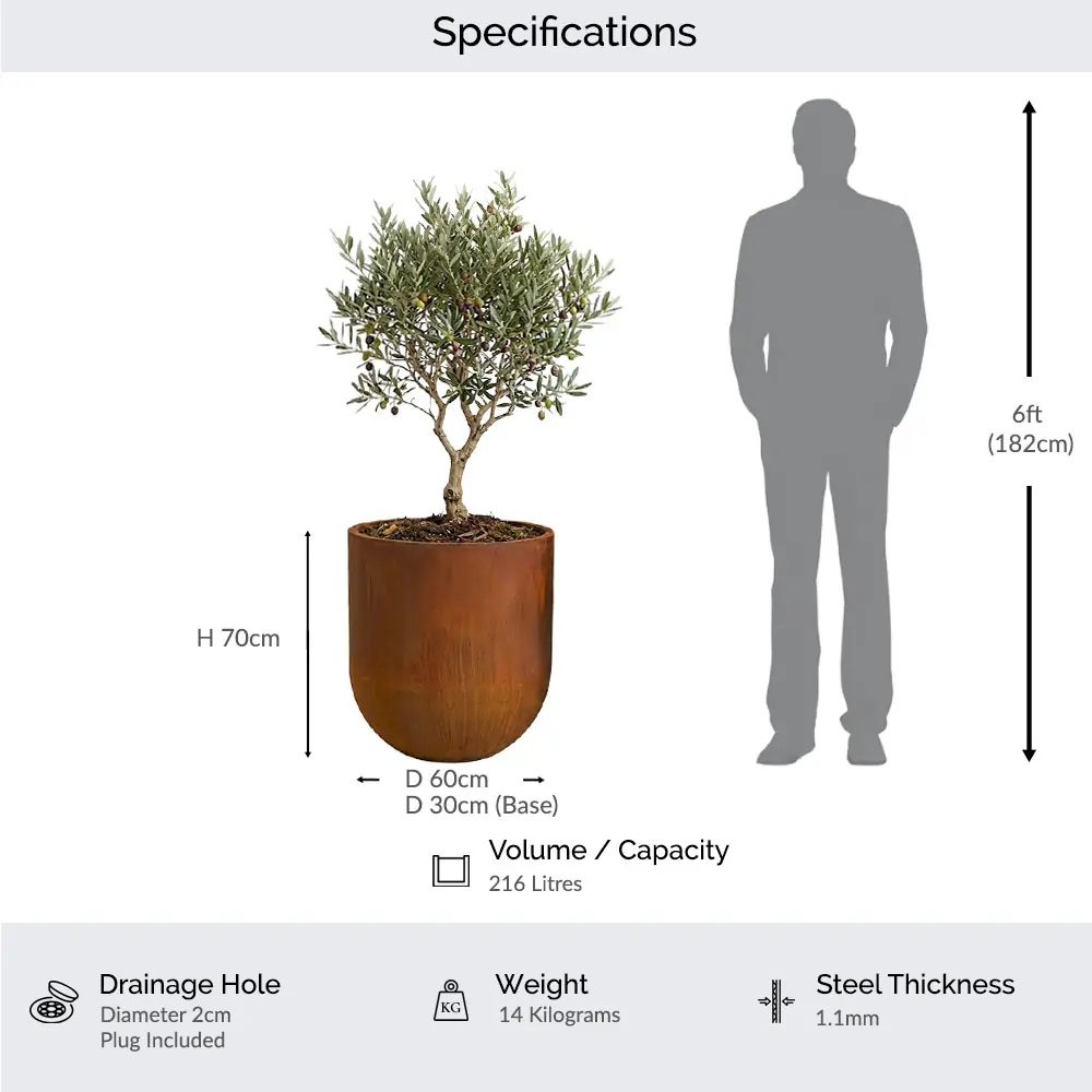 Corten Steel Large Cylinder Planter with Rounded Base - Image 2