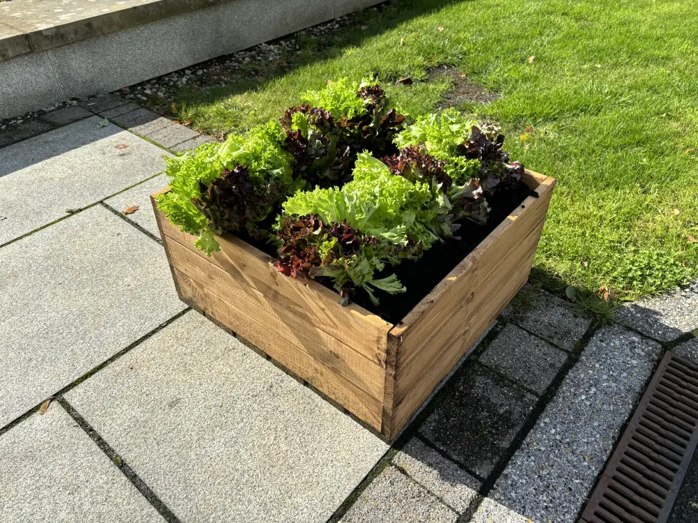 Country Kitchen Large Raised Redwood Bed - Image 7