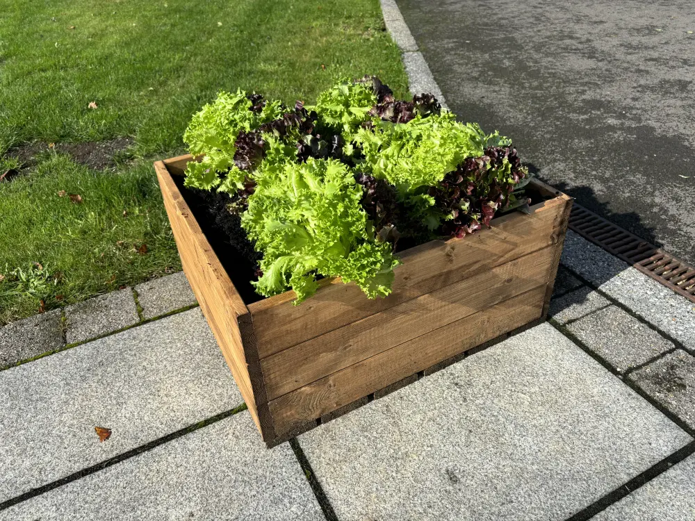 Country Kitchen Large Raised Redwood Bed - Image 9