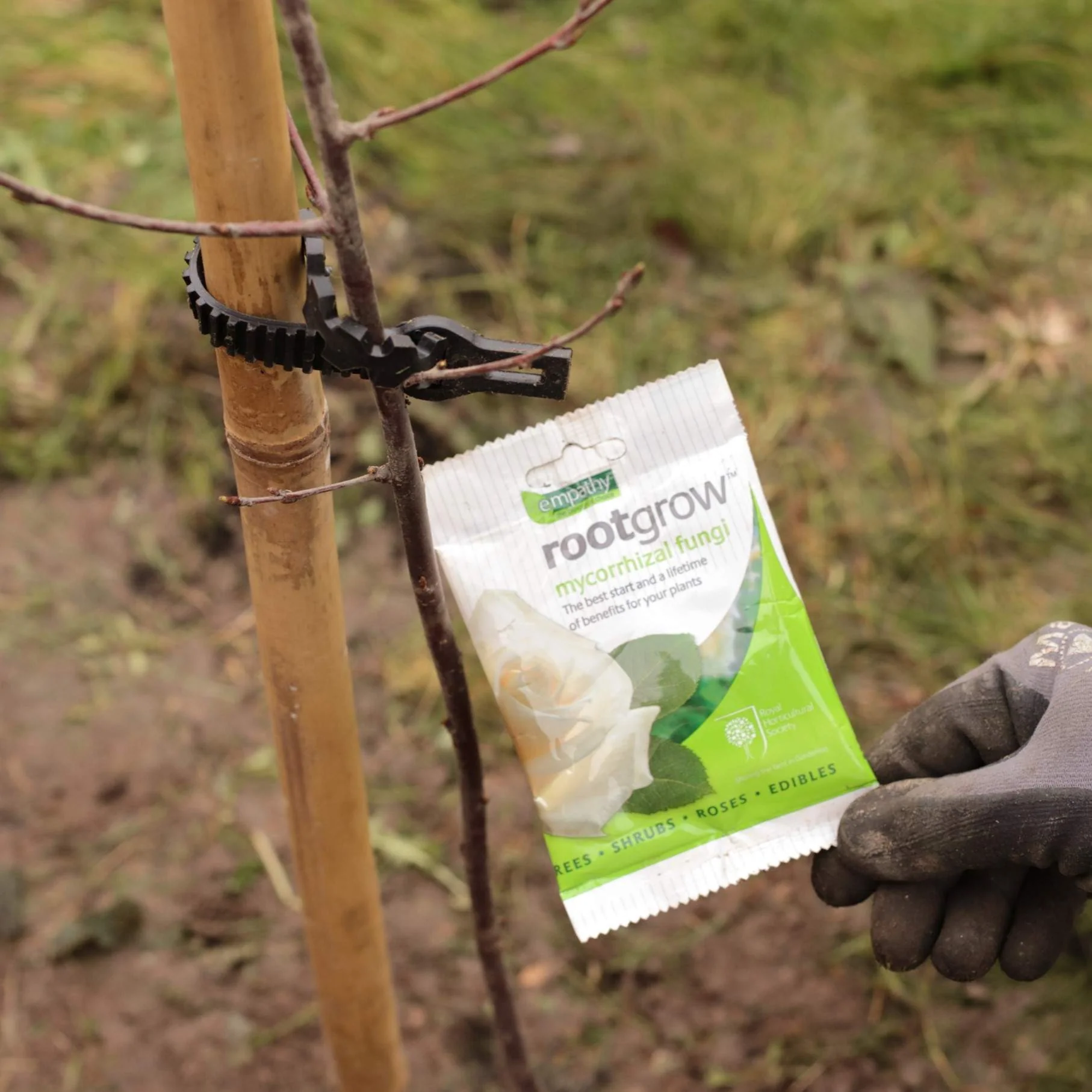 Full Tree Planting Kit | Extra Strong Stake, Supersoft Tie & Rootgrow