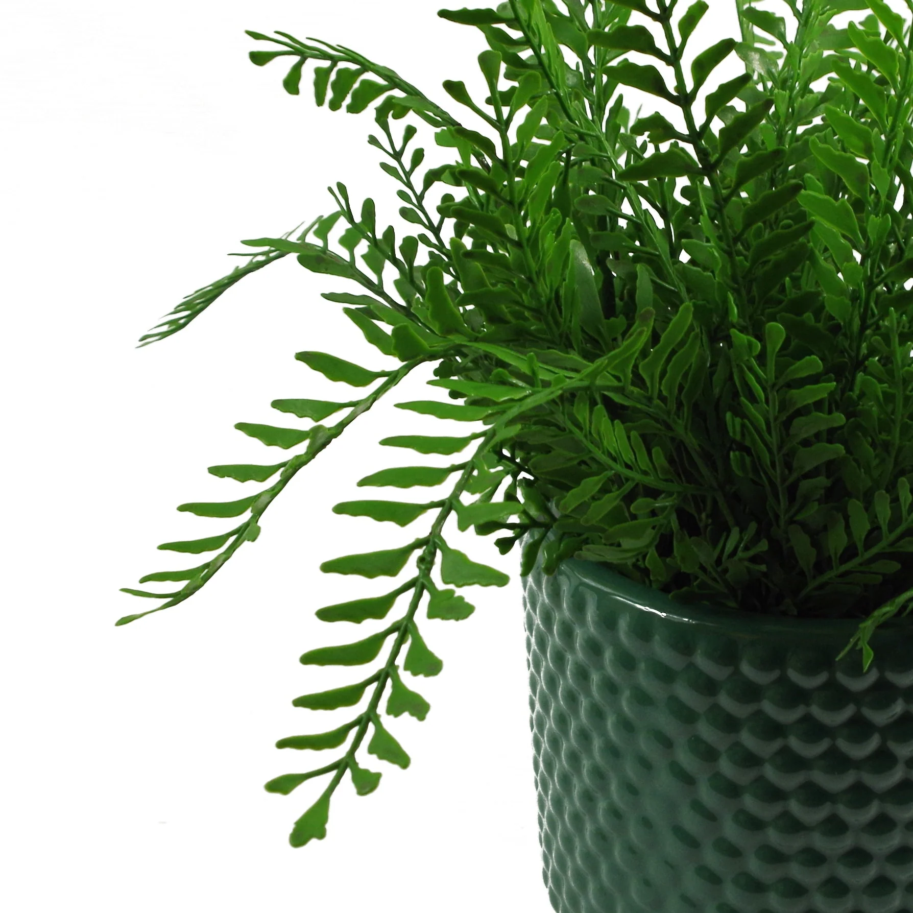 Green Raised Dots Ceramic Plant Pot 15 x 15 x 12.5cm - Image 3