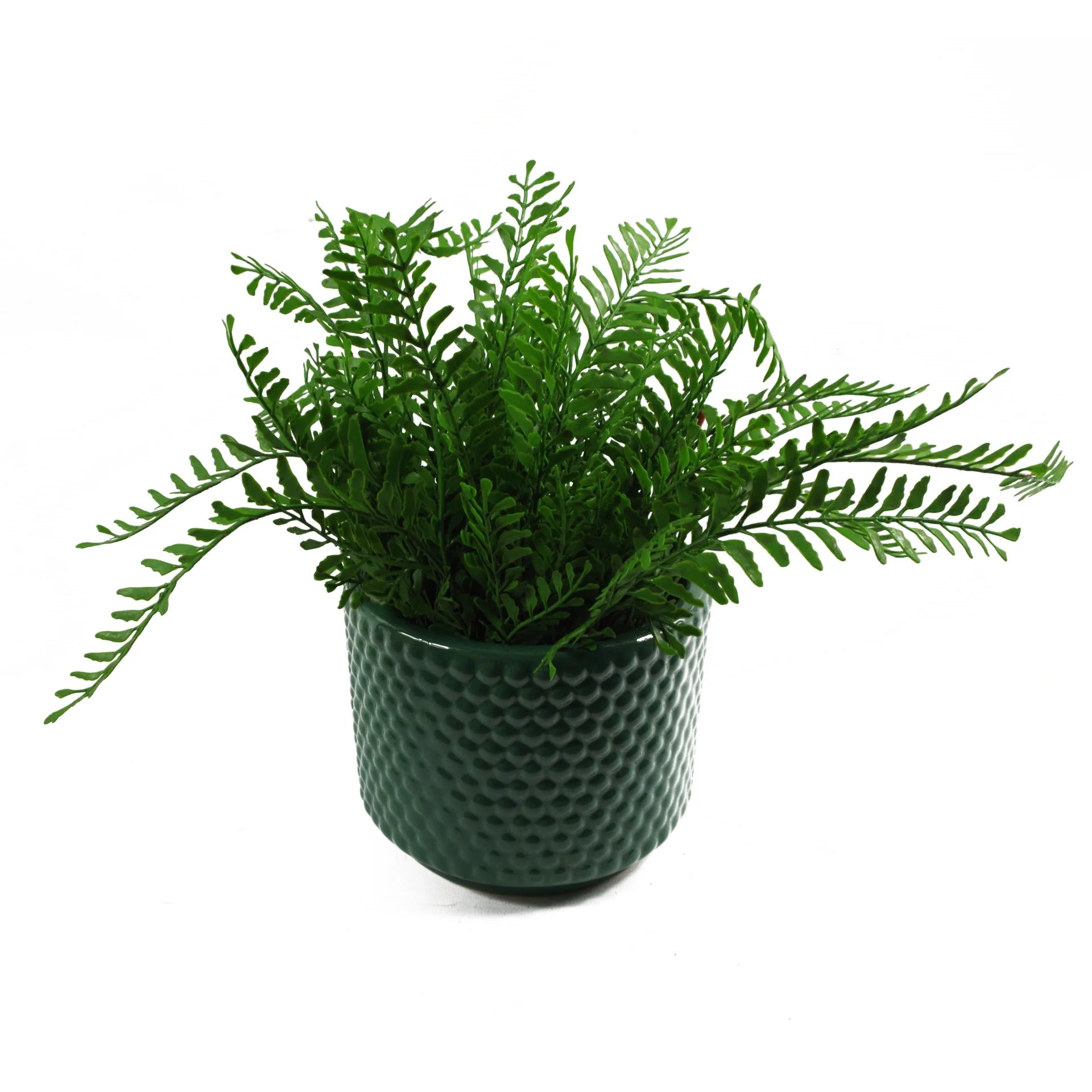 Green Raised Dots Ceramic Plant Pot 15 x 15 x 12.5cm - Image 4