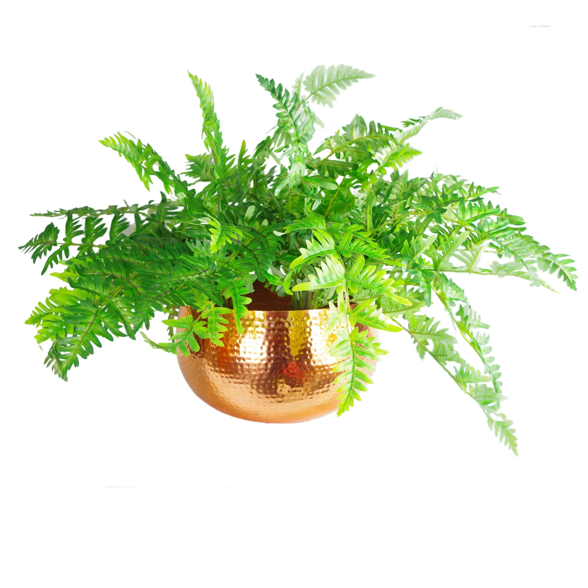 Leaf XL Metal Bowl Planter 32 x 20cm Hammered Copper Colour - Straight Edge - Image 3
