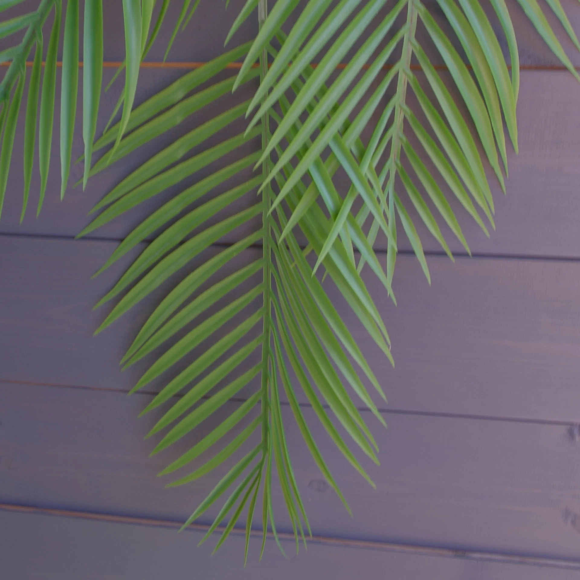 Pack of 12 x 120cm Artificial Hanging Palm Plant - Image 3