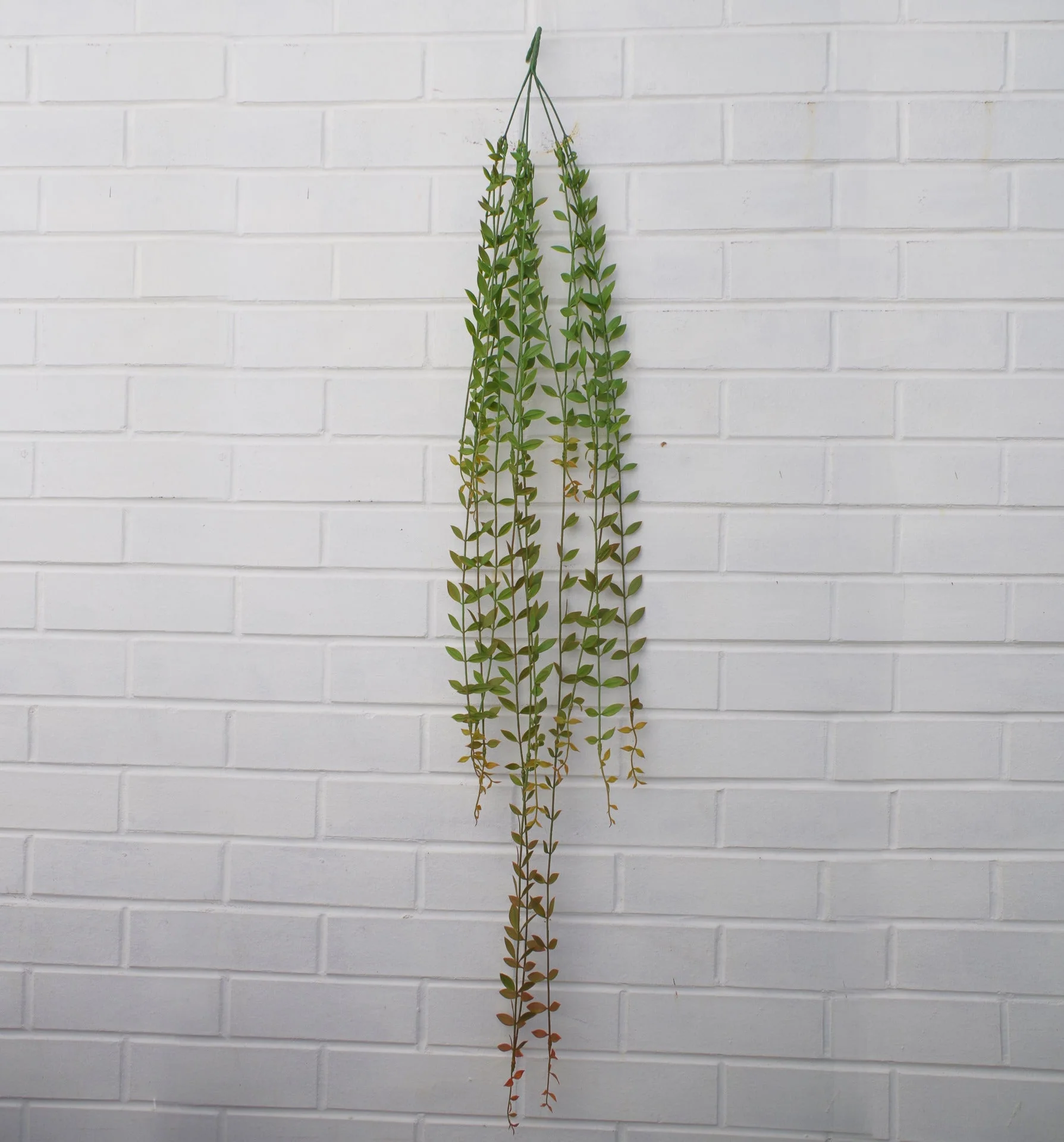 Pack of 12 x 120cm Artificial Hanging String of Pearls - Image 2