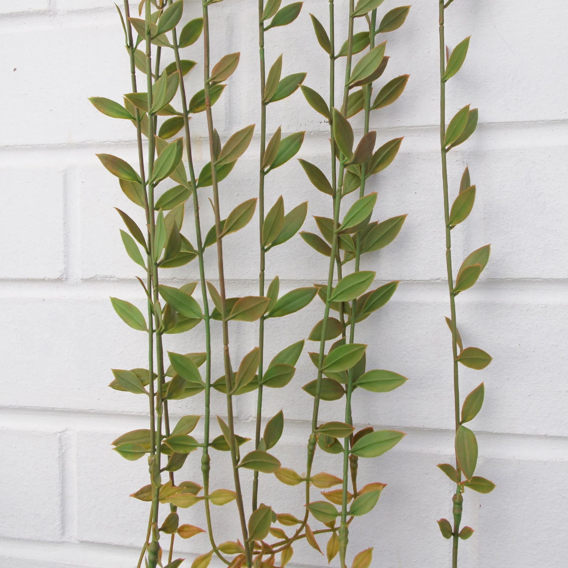 Pack of 12 x 120cm Artificial Hanging String of Pearls - Image 3