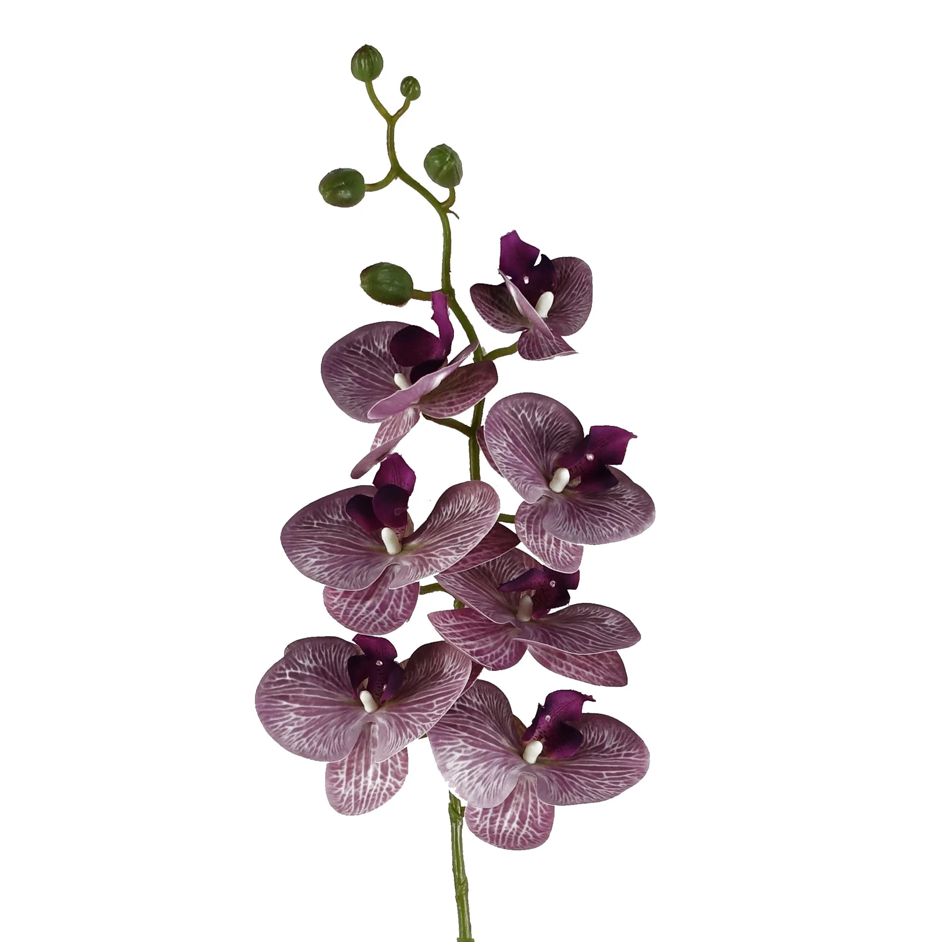Pack of 6 x 100cm Artificial Phalaenopsis Orchid Purple Stem - 42 Flowers - Image 3