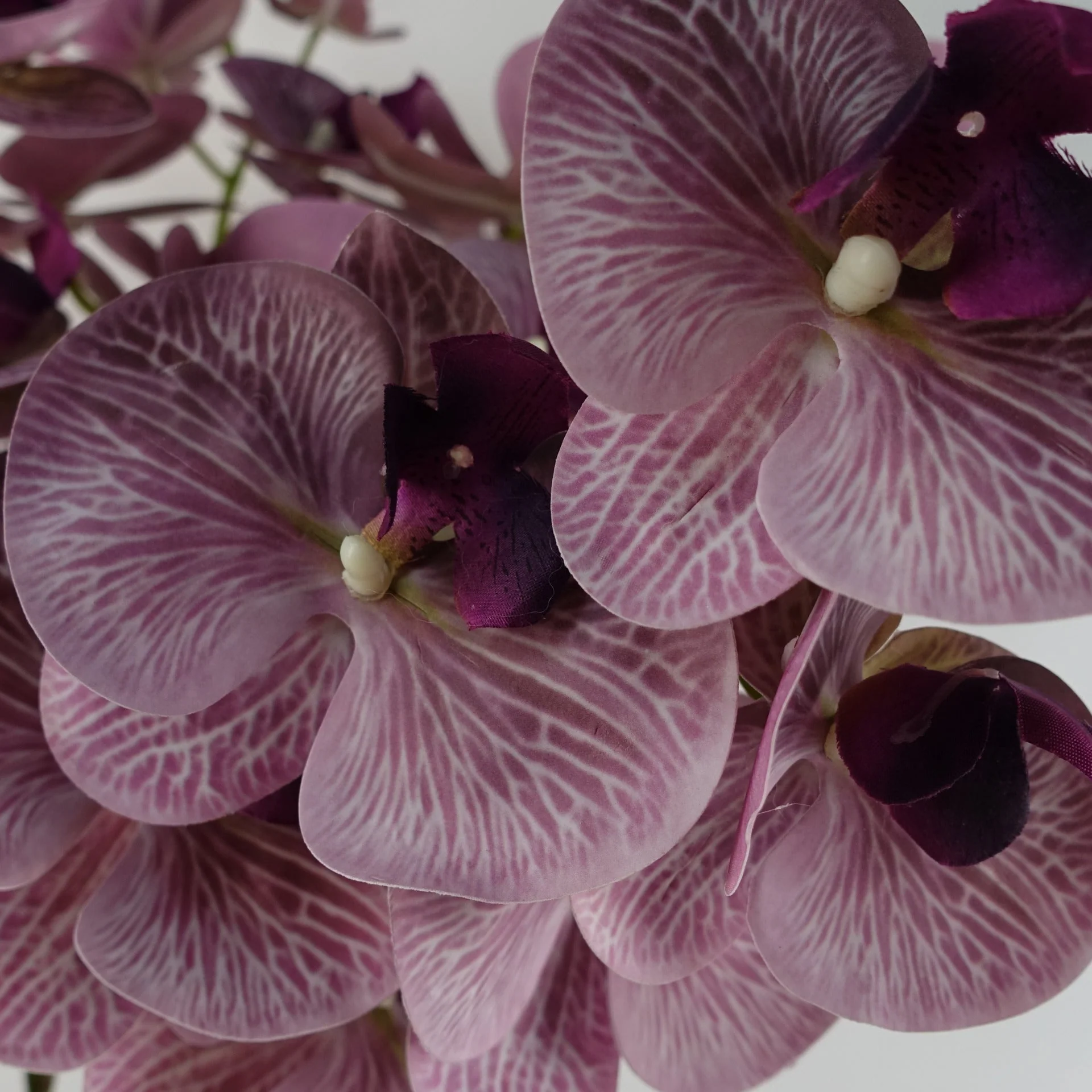 Pack of 6 x 100cm Artificial Phalaenopsis Orchid Purple Stem - 42 Flowers - Image 4