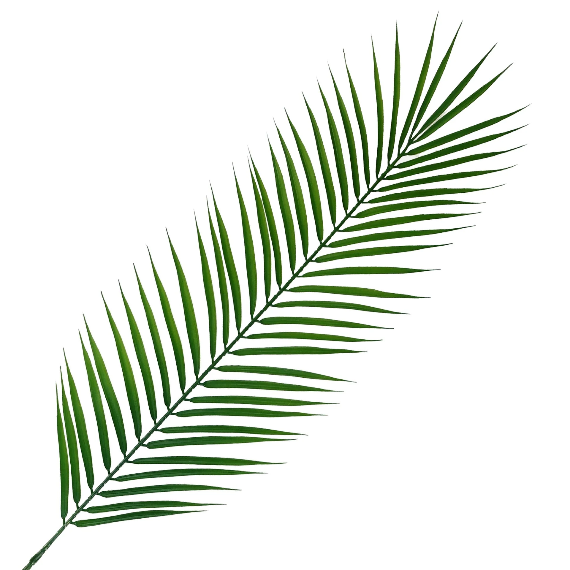 Pack of 6 x 100cm Realistic Artificial Palm Leaf - Image 2
