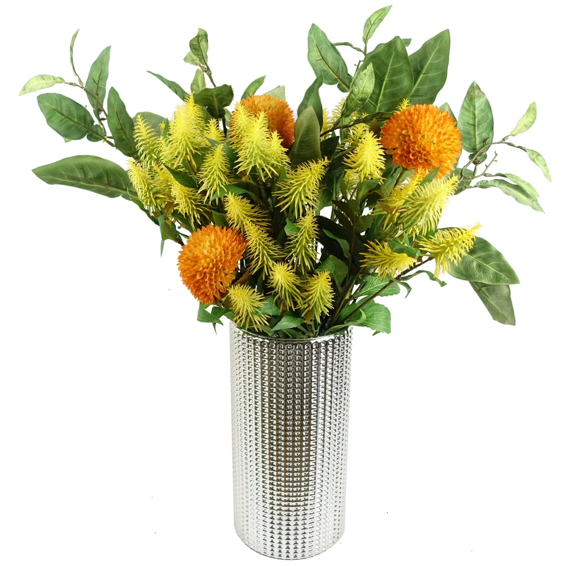 Pack of 6 x 55cm Callistemon Pallidus Yellow Bottle Brush Stem - Image 2