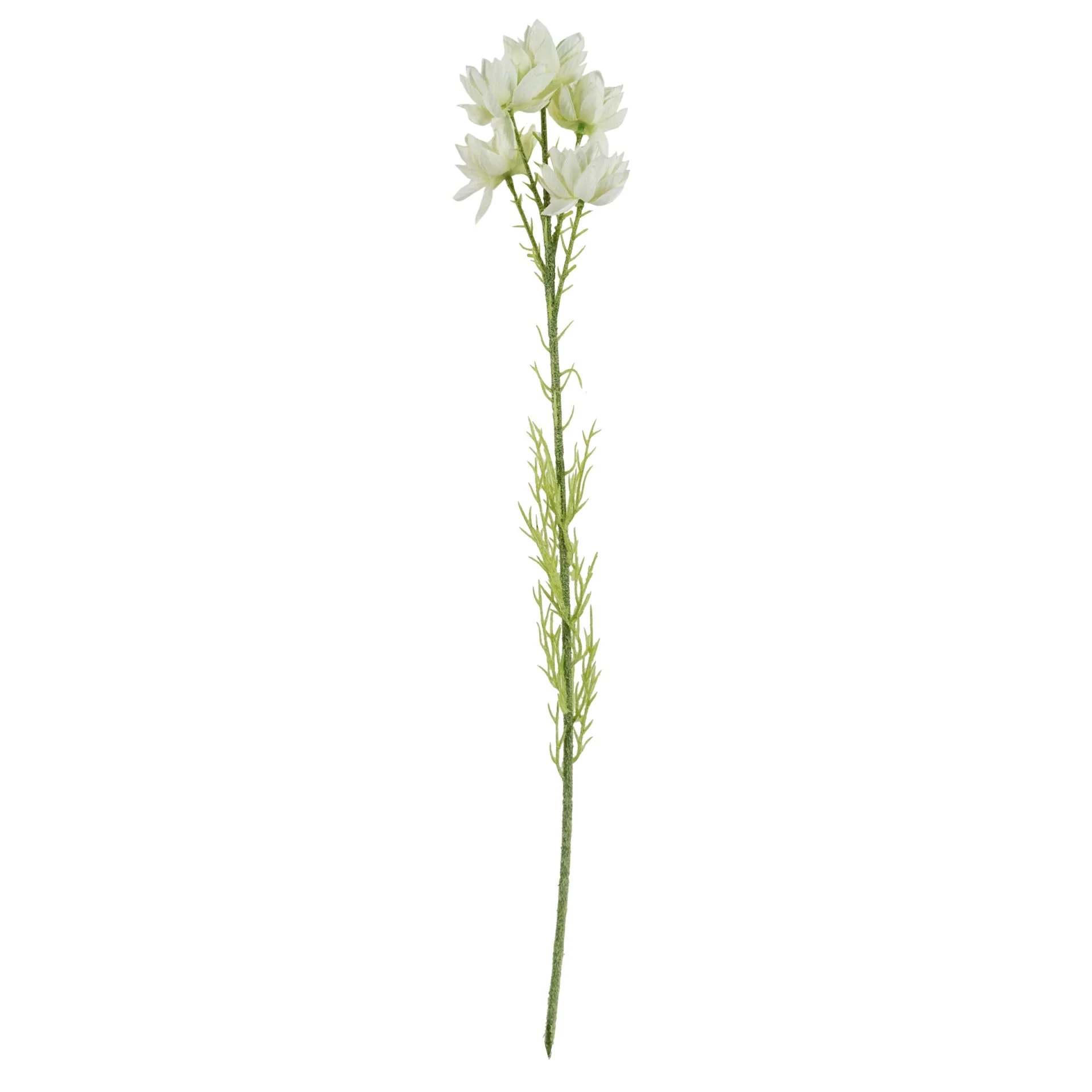 Pack of 6 x 60cm White Starflower Stem - 30 Flowers - Image 4