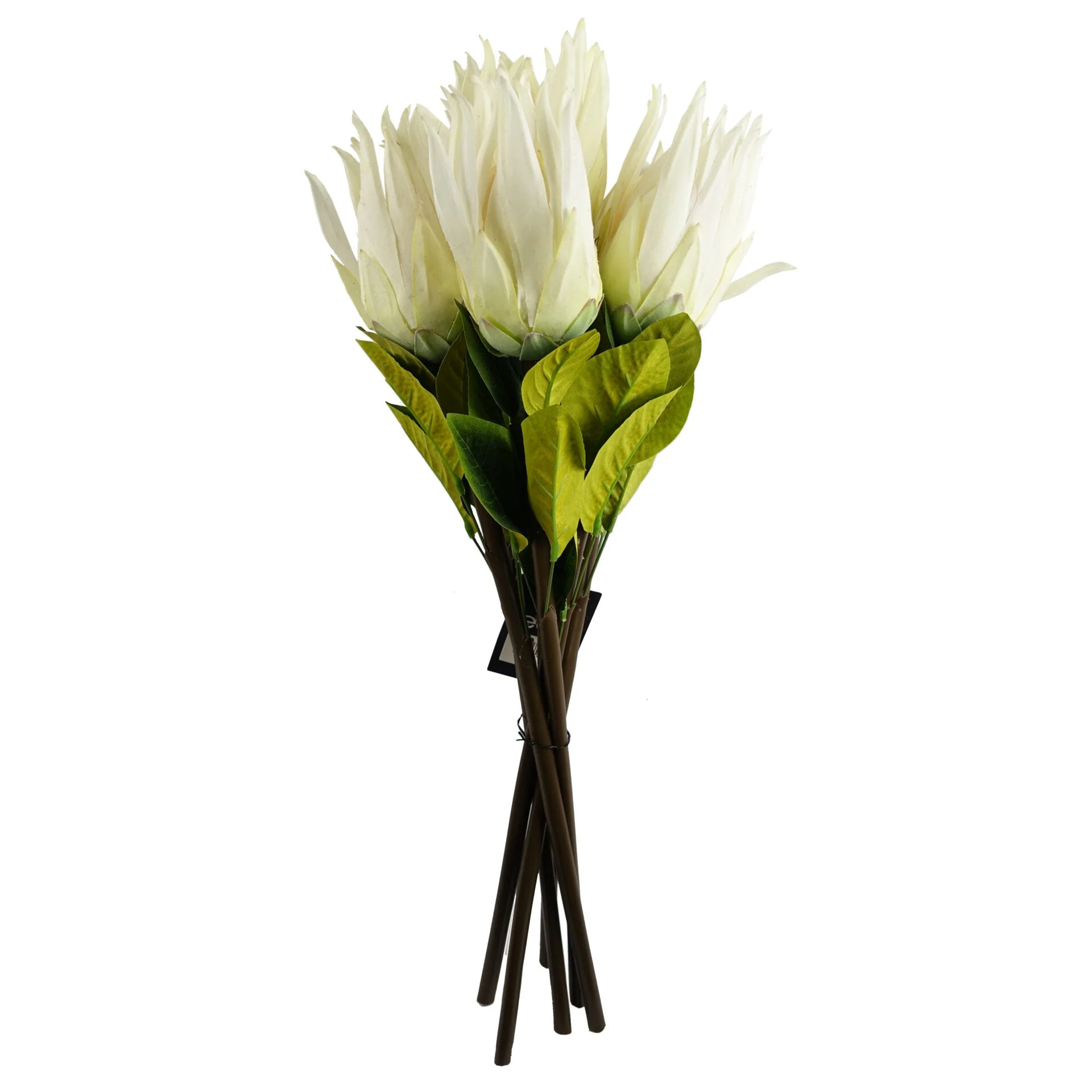 Pack of 6 x 65cm Protea Sugarbush Flower Stem - White - Image 4