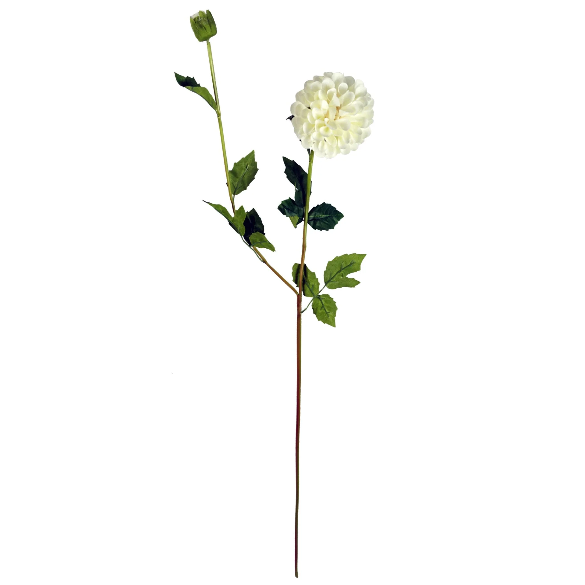 Pack of 6 x 75cm Artificial Dahlia PomPom Flower Stem Cream - Image 2