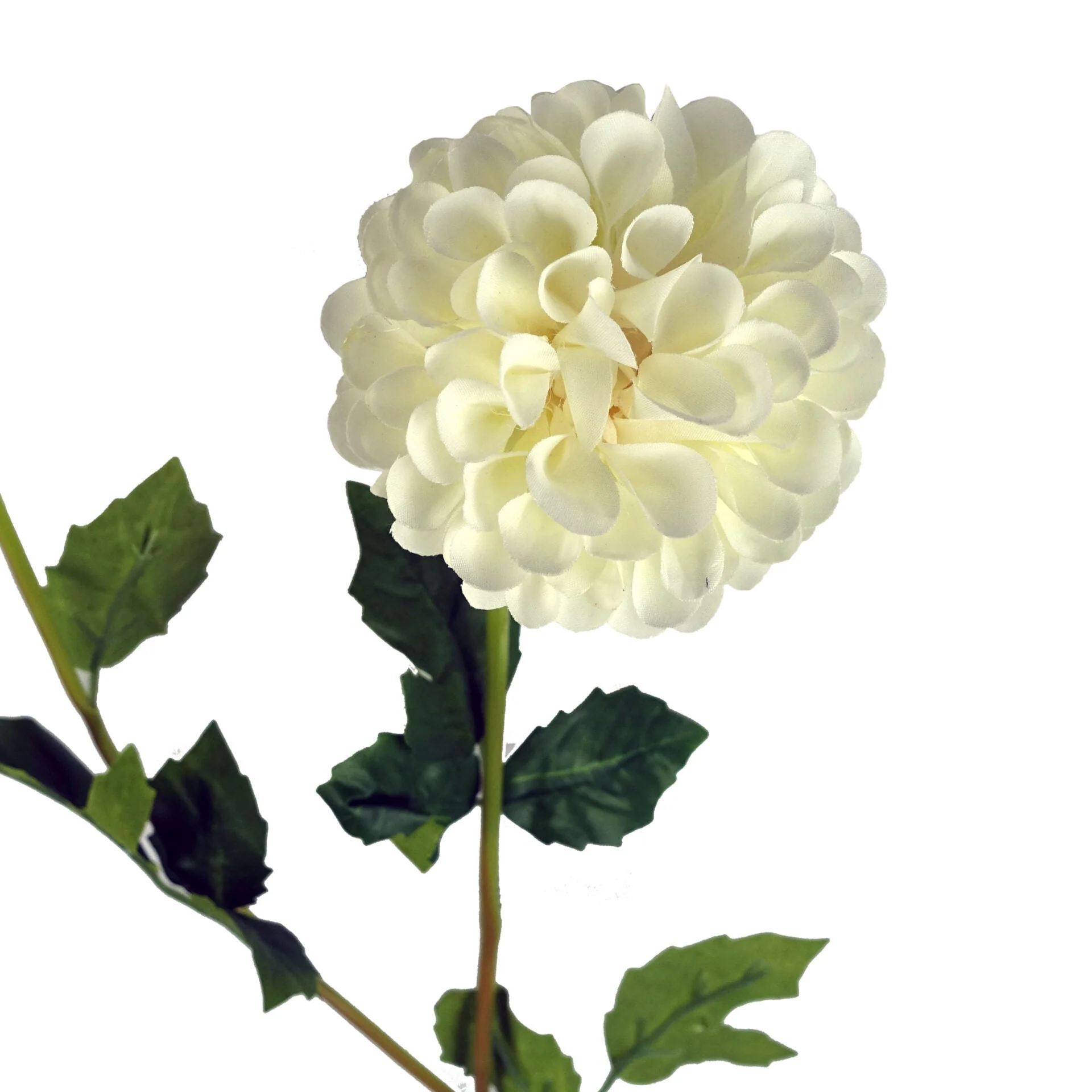 Pack of 6 x 75cm Artificial Dahlia PomPom Flower Stem Cream - Image 3