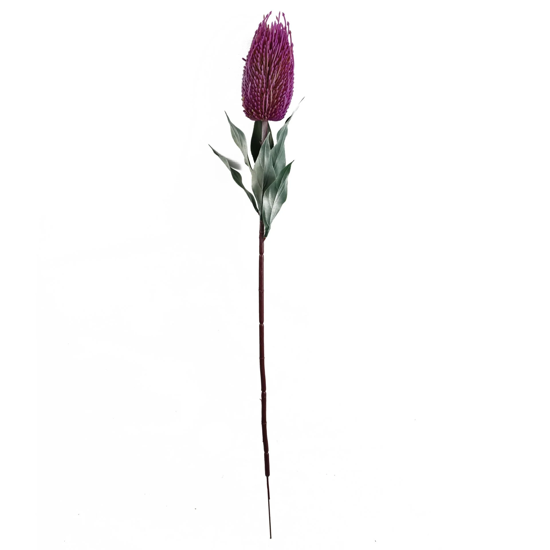 Pack of 6 x 75cm Banksia Menziesii Pink Flower Stem Artificial - Image 4