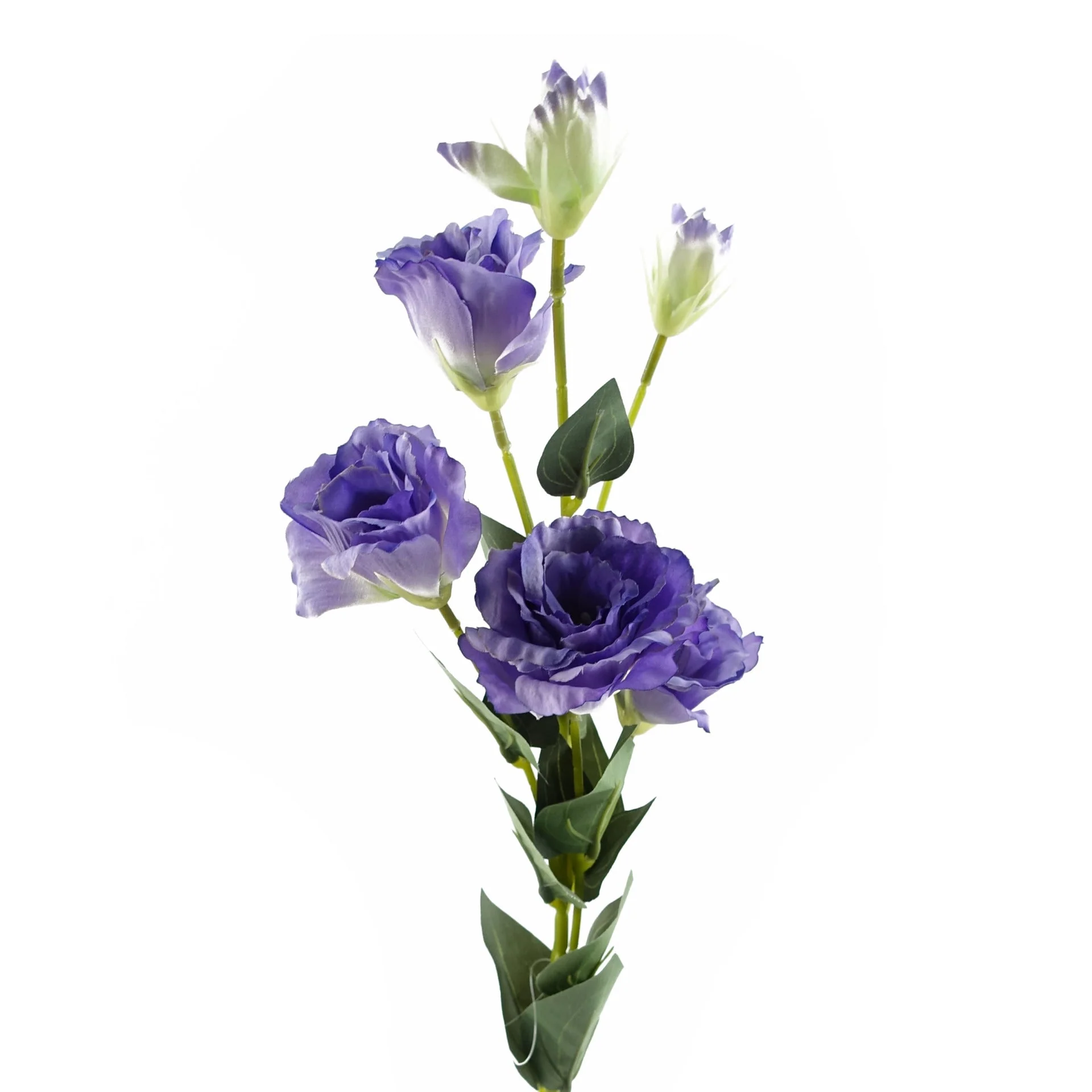 Pack of 6 x 80cm Artificial Purple Wild Rose Stem - 36 Flowers - Image 4