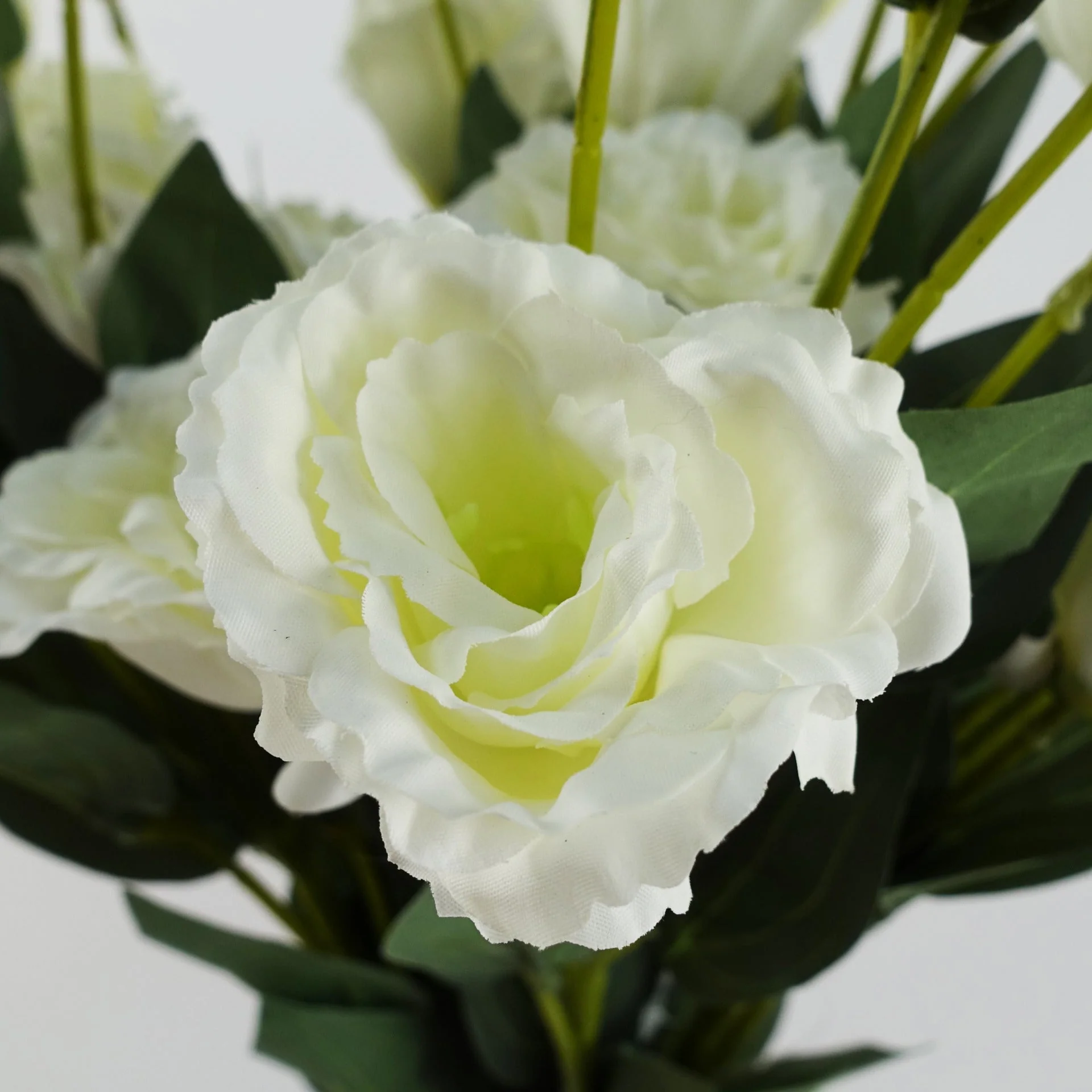 Pack of 6 x 80cm Artificial White Wild Rose Stem - 36 Flowers - Image 3