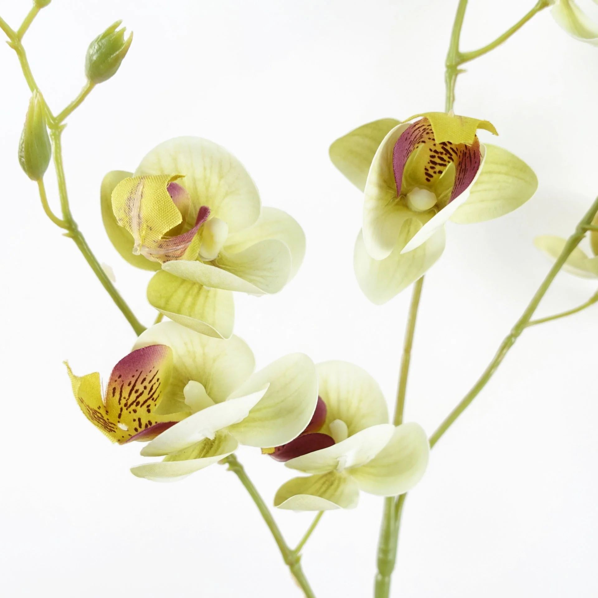 Pack of 6 x 80cm Cream Artificial Mini Orchid Stem - Image 3