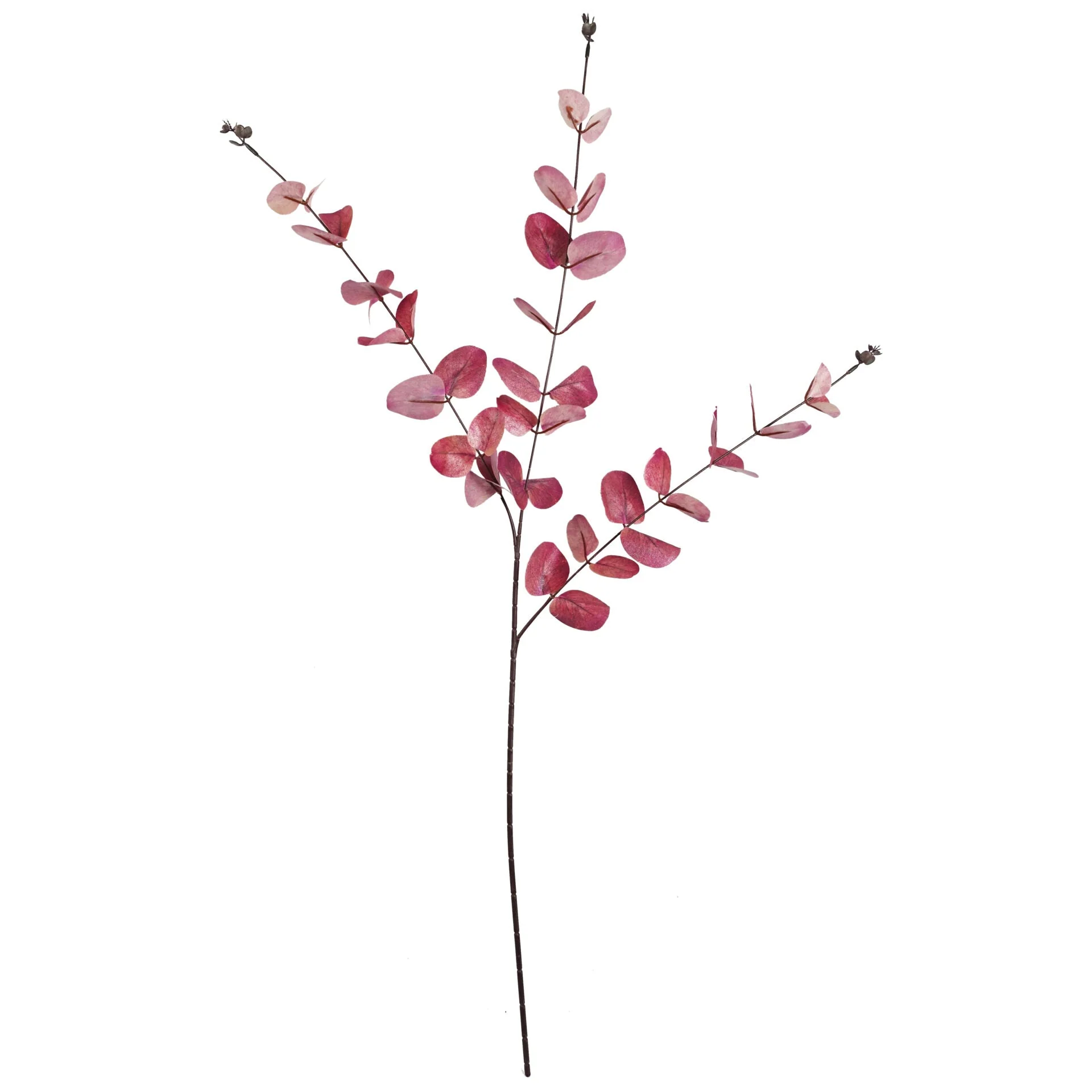 Pack of 6 x 80cm Pink Eucalyptus Foliage Stem - Image 3