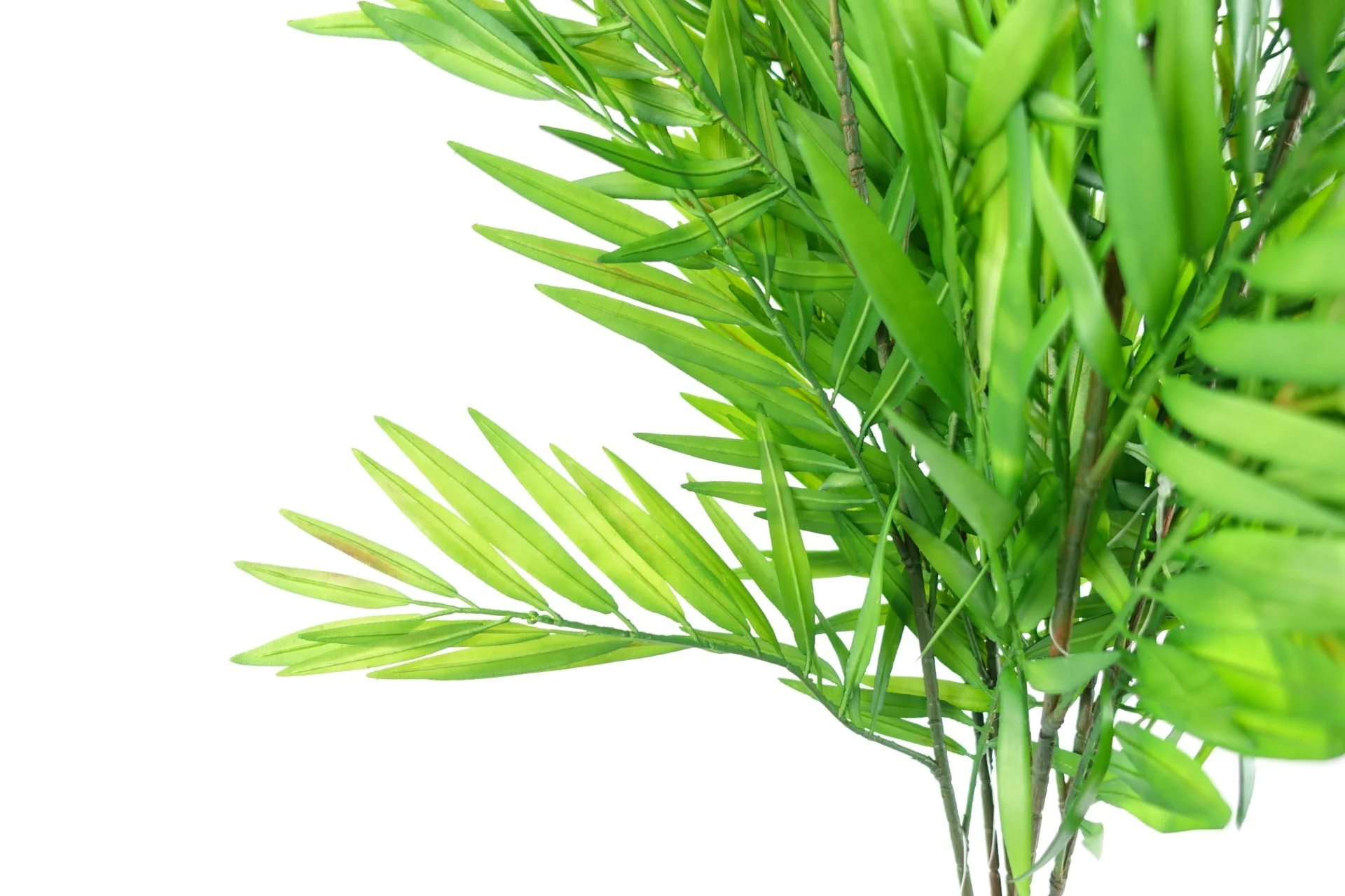 Pack of 6 x 85cm Bamboo Fern Stem - Image 3