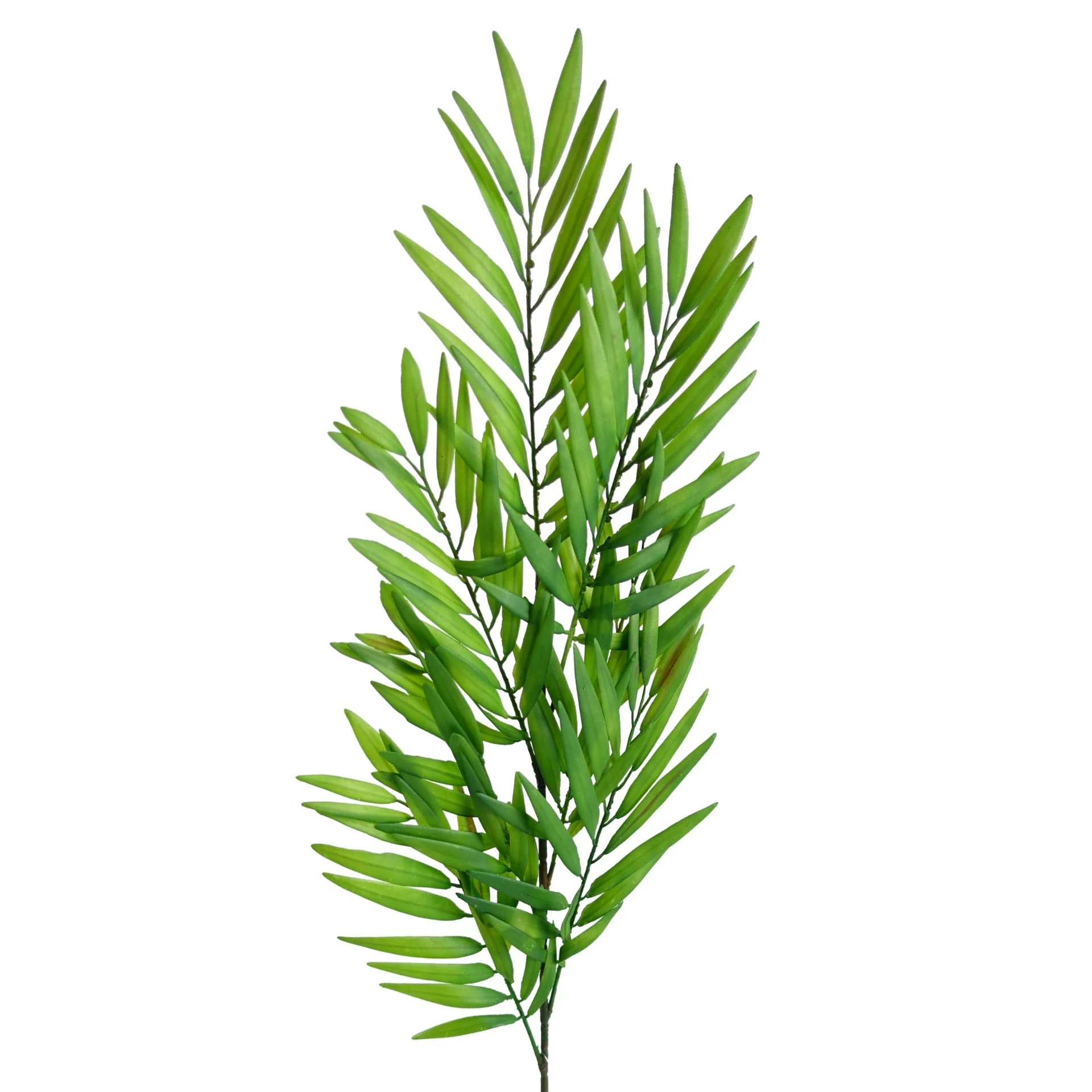 Pack of 6 x 85cm Bamboo Fern Stem - Image 4