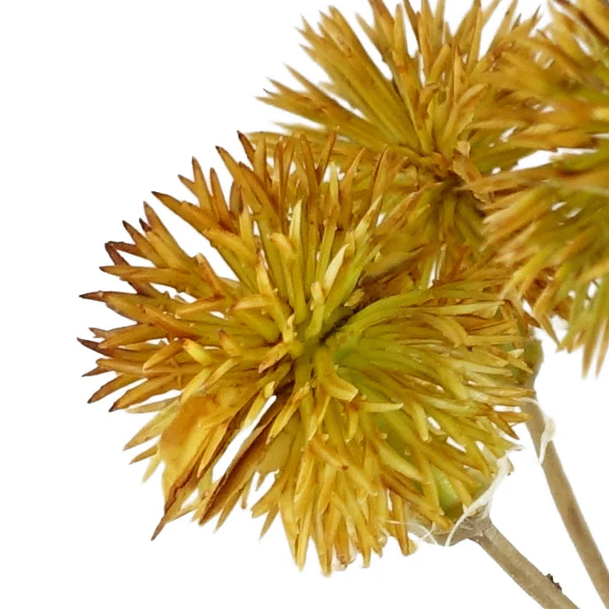 Pack of 6 x 85cm Craspedia Stem Yellow Artificial - Image 2
