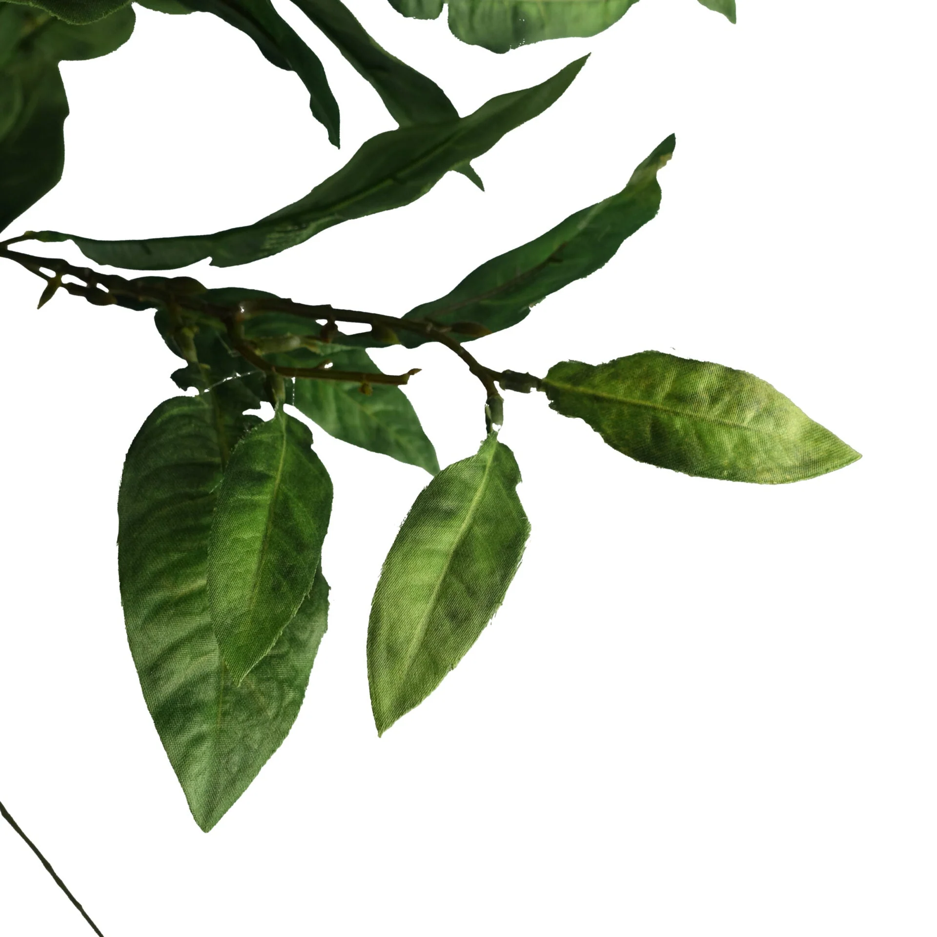 Pack of 6 x 90cm Artificial Ficus Foliage Stem - Image 4