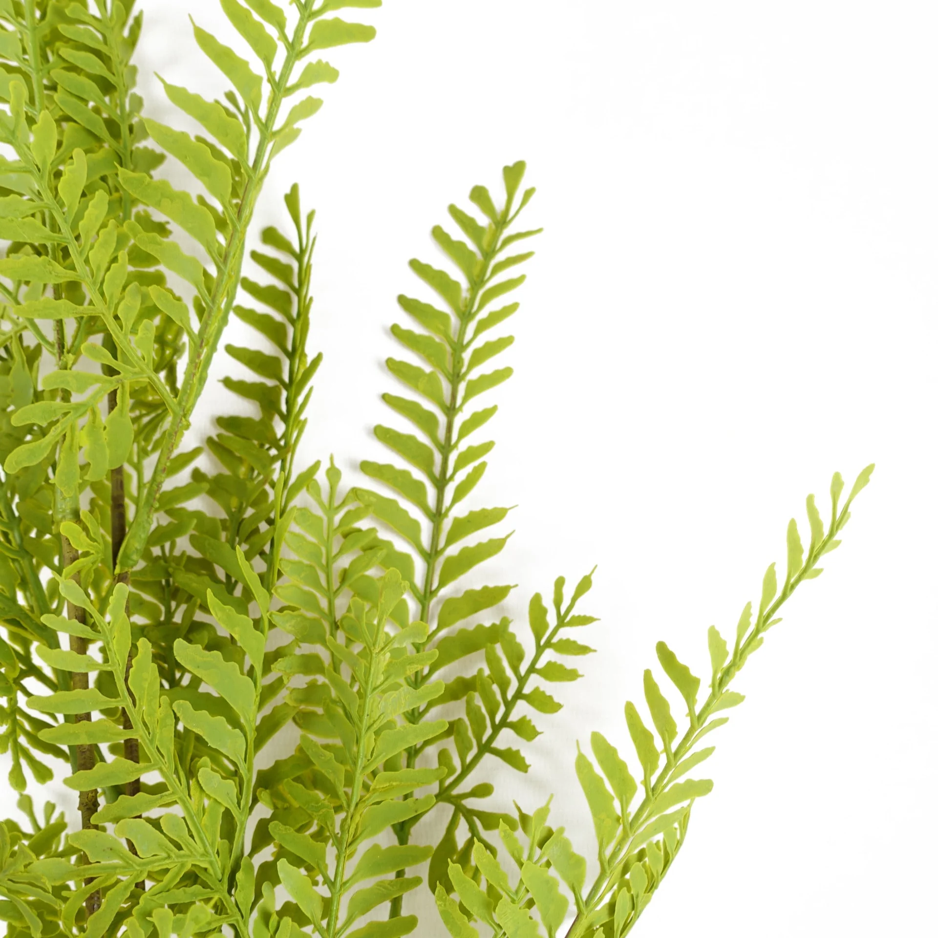 Pack of 6 x 95cm Artificial Himilayan Maidenhair Fern Stem - Image 2