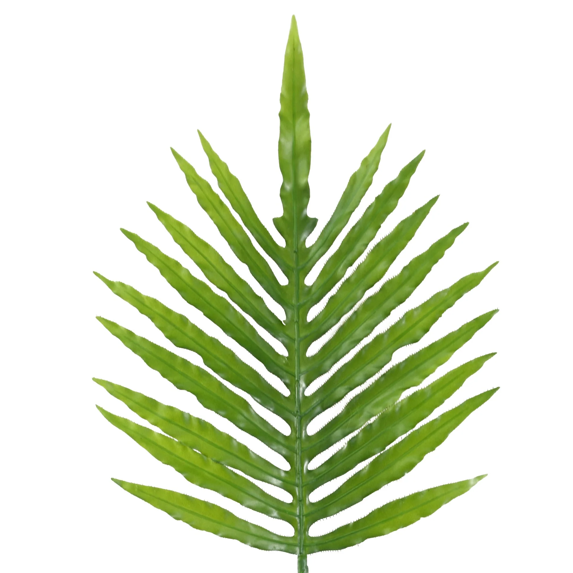 Pack of 6 x 95cm Green Palm Leaf - Image 4