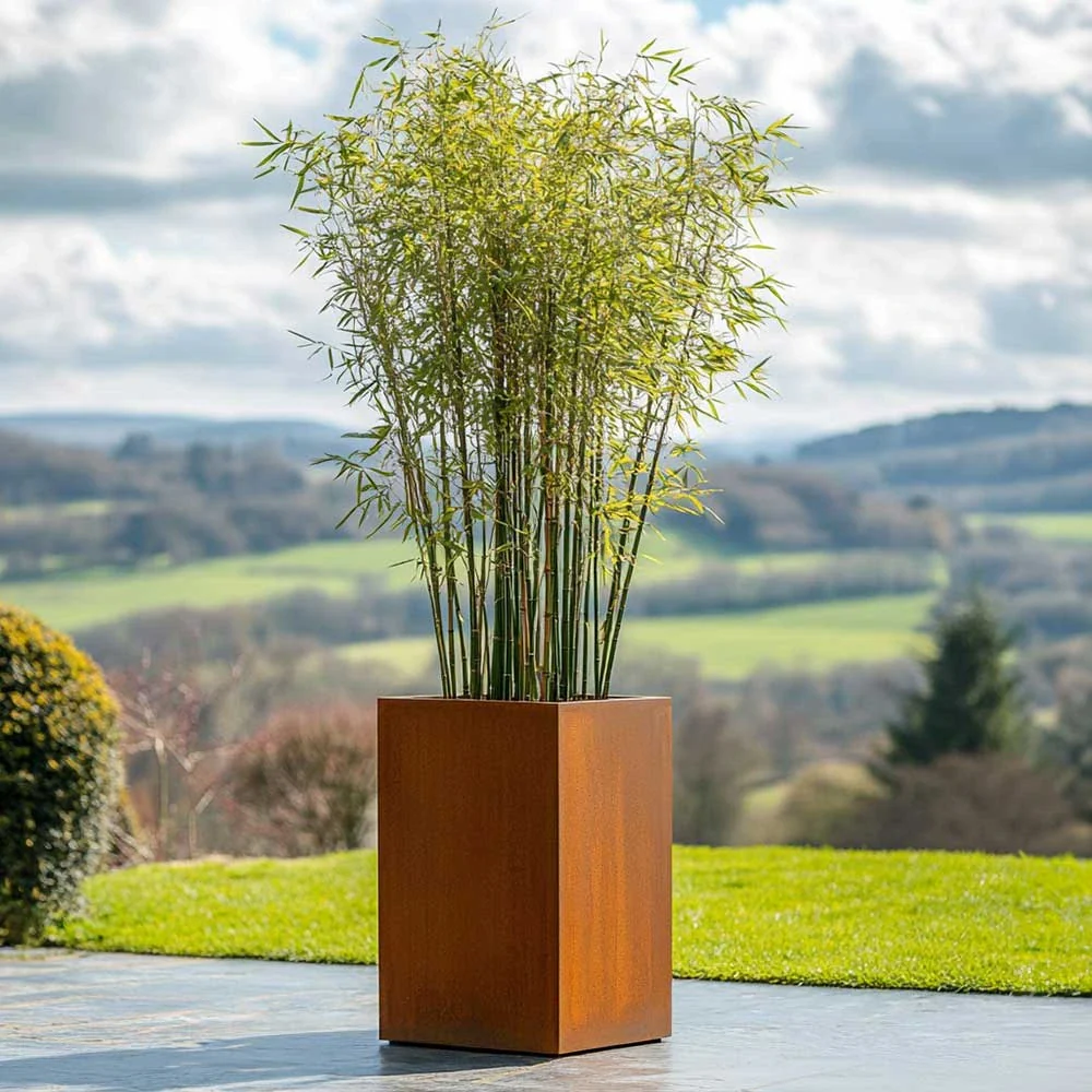 Pre-Rusted Corten Steel Straight Edge Tall Square Planter with Feet - Image 7