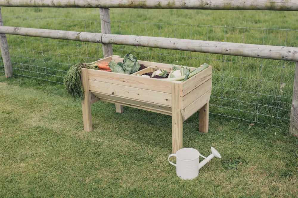 Raised Veg Trug / Planter