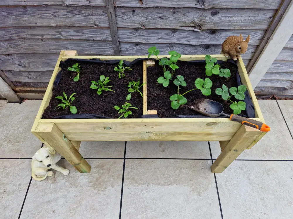 Raised Veg Trug / Planter - Image 14