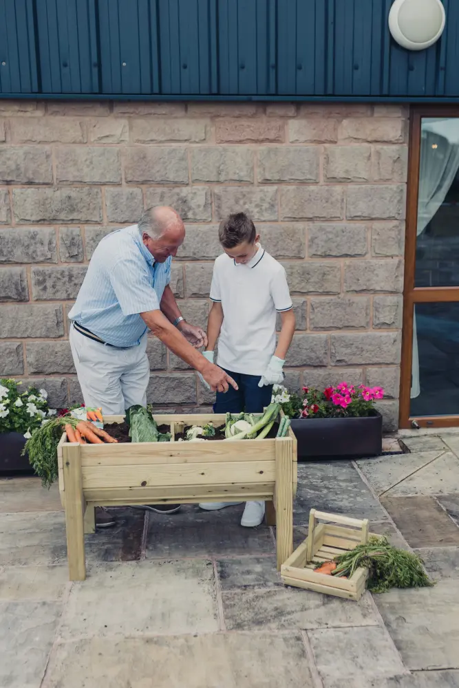 Raised Veg Trug / Planter - Image 5