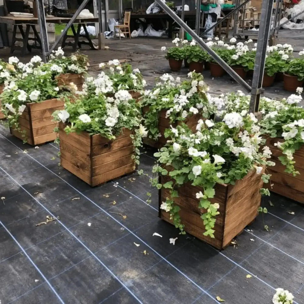 Redwood Extra Large Square Wooden Planter - Image 6