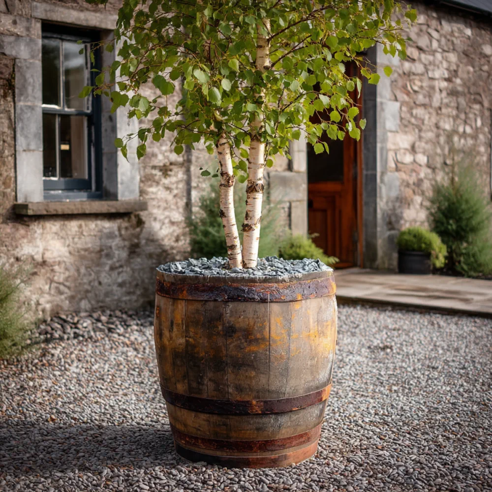 Rustic Oak Barrel Tree / Herb / Bedding Planter - Image 101