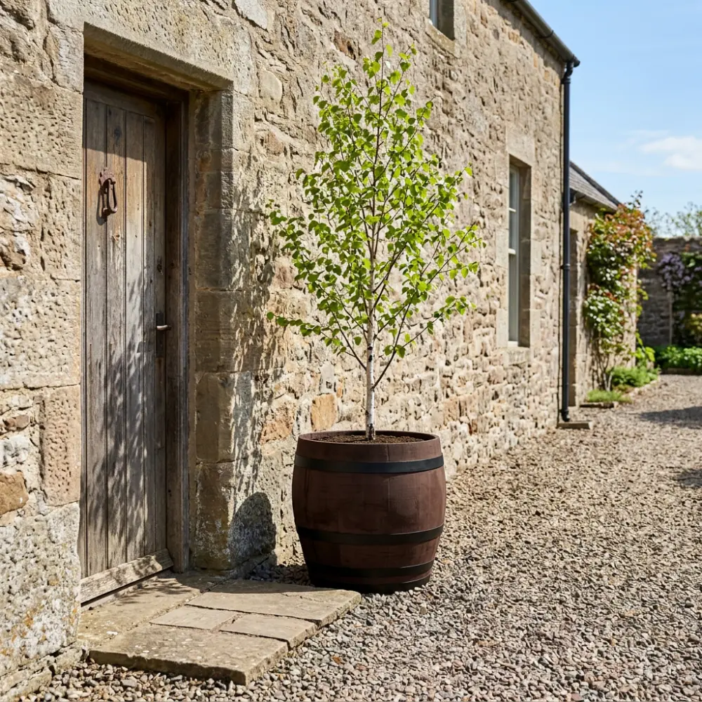 Rustic Oak Barrel Tree / Herb / Bedding Planter - Image 113