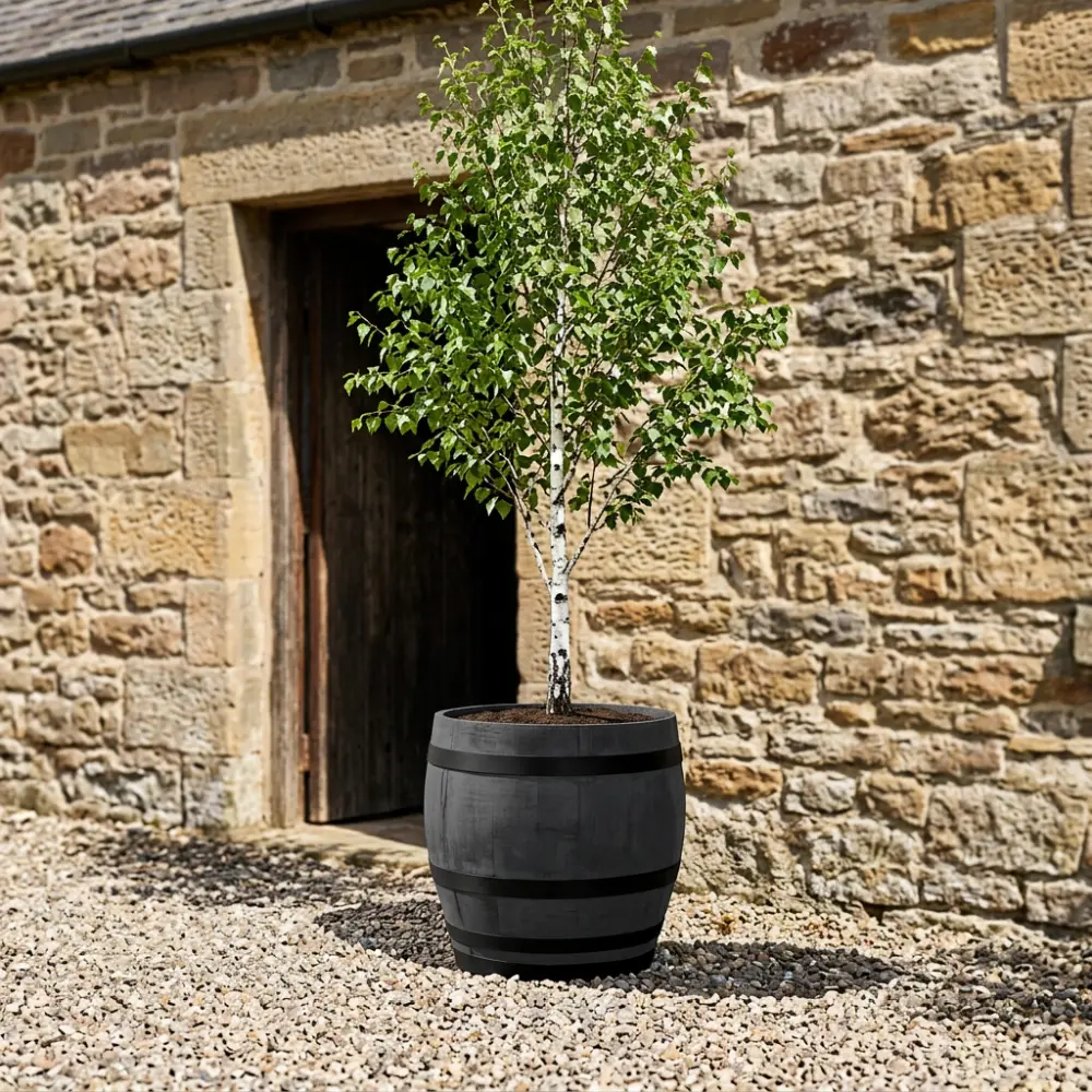 Rustic Oak Barrel Tree / Herb / Bedding Planter - Image 115