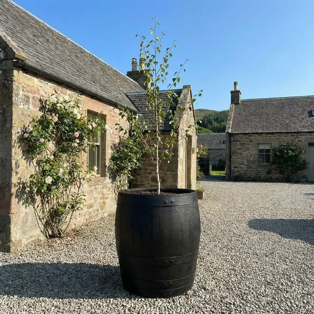 Rustic Oak Barrel Tree / Herb / Bedding Planter - Image 122