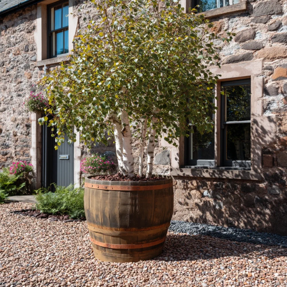 Rustic Oak Barrel Tree / Herb / Bedding Planter - Image 124